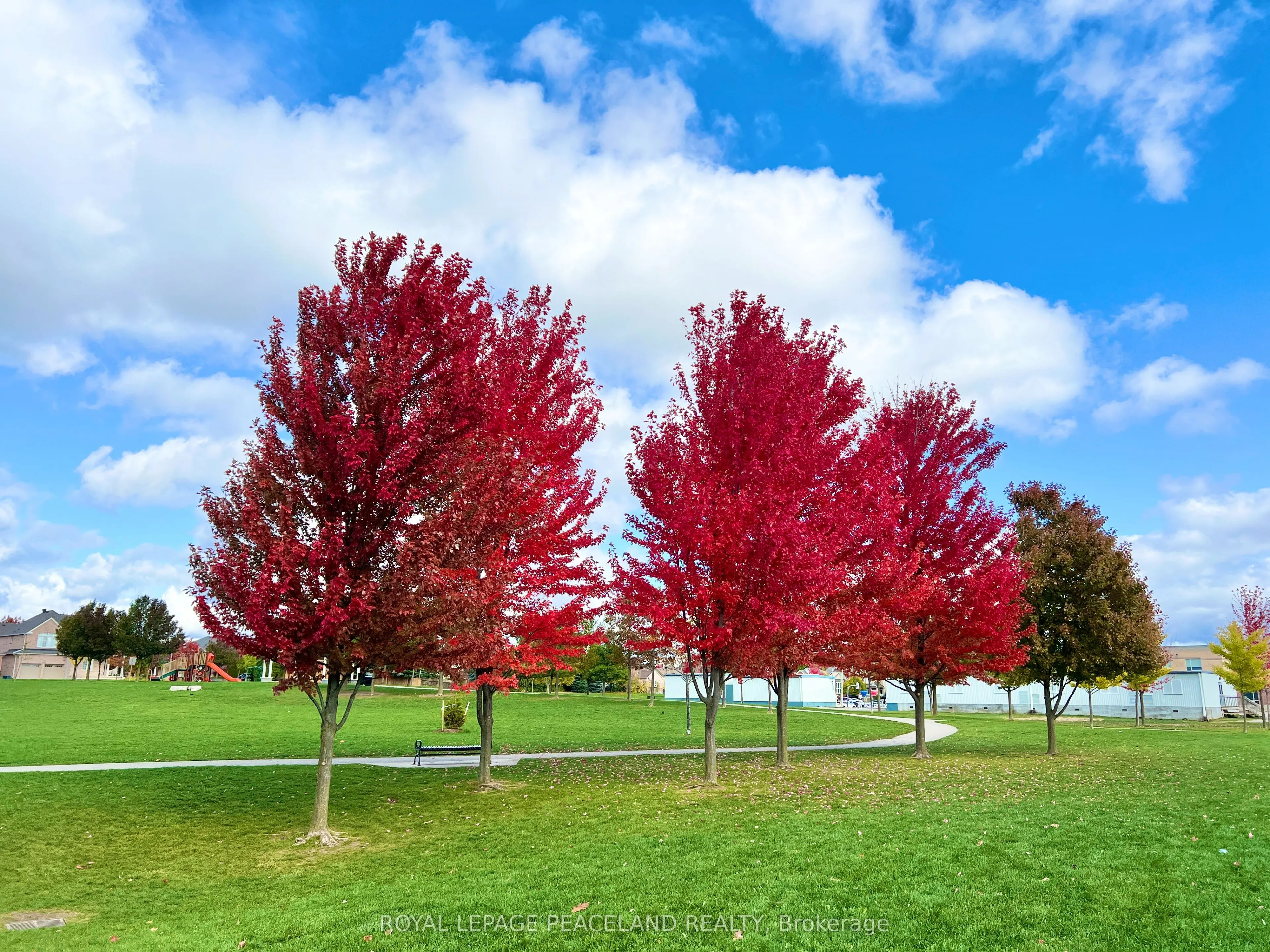 73 Castleglen Boulevard