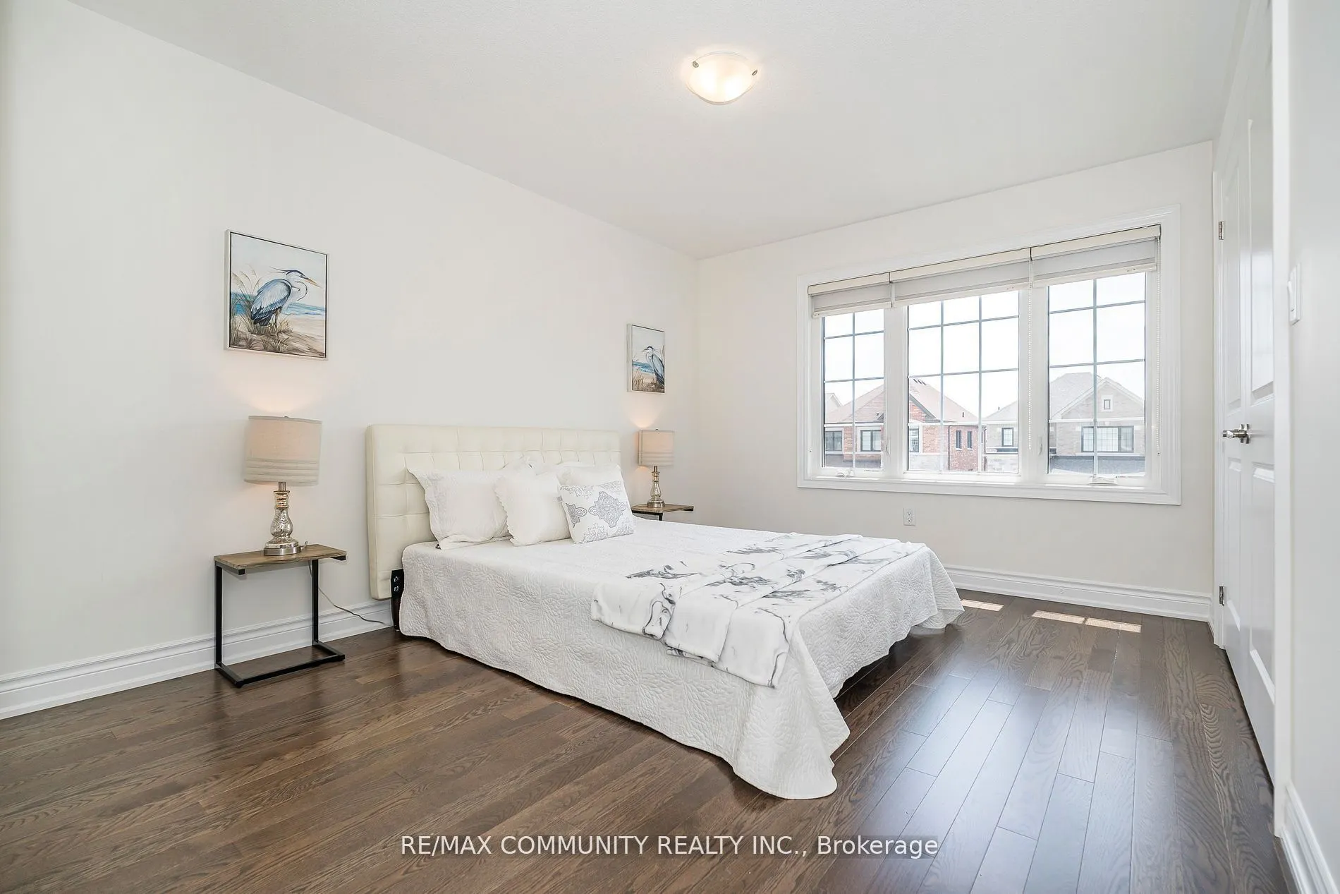 146 Wandering Glider Trail