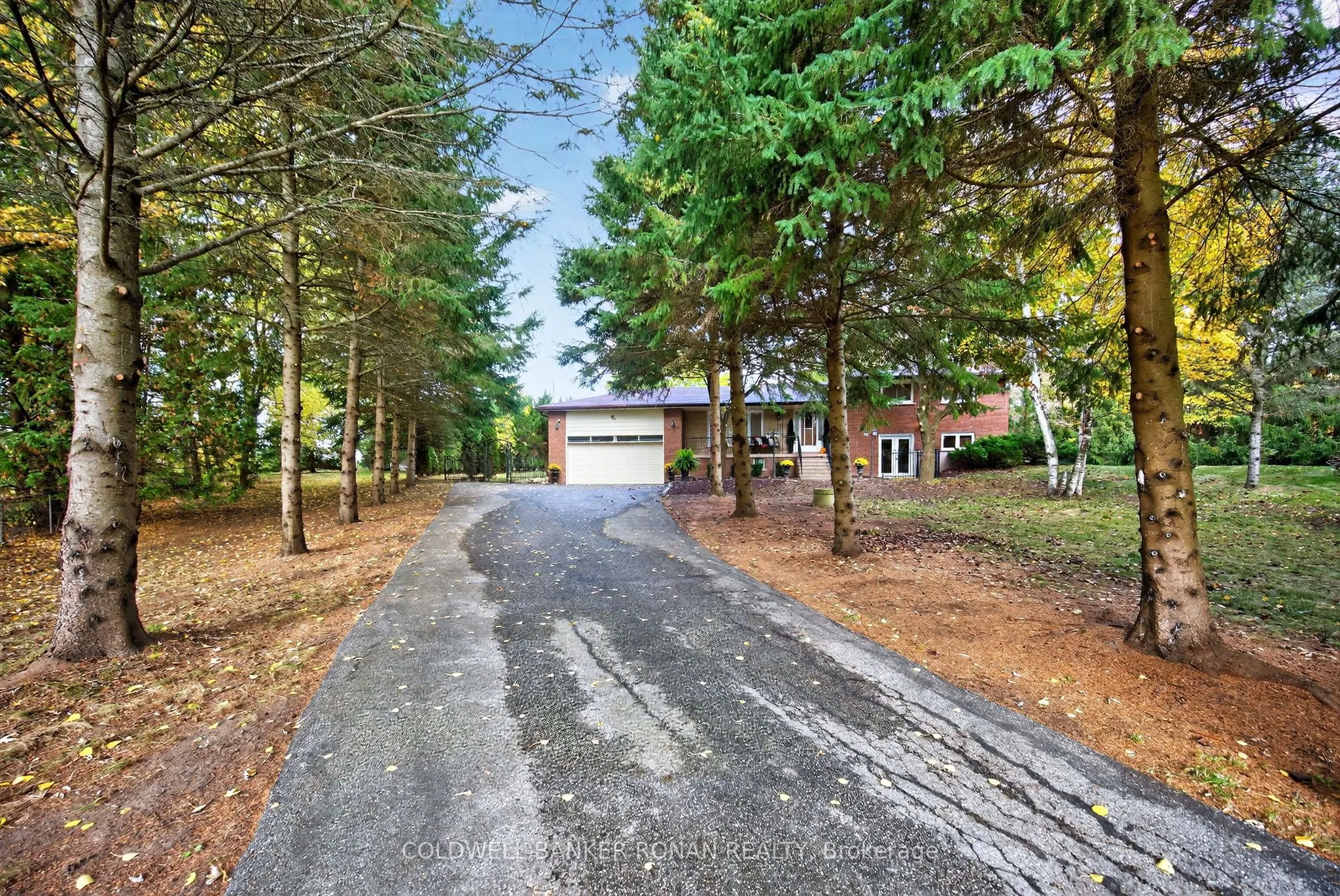 2738 Concession Rd 4