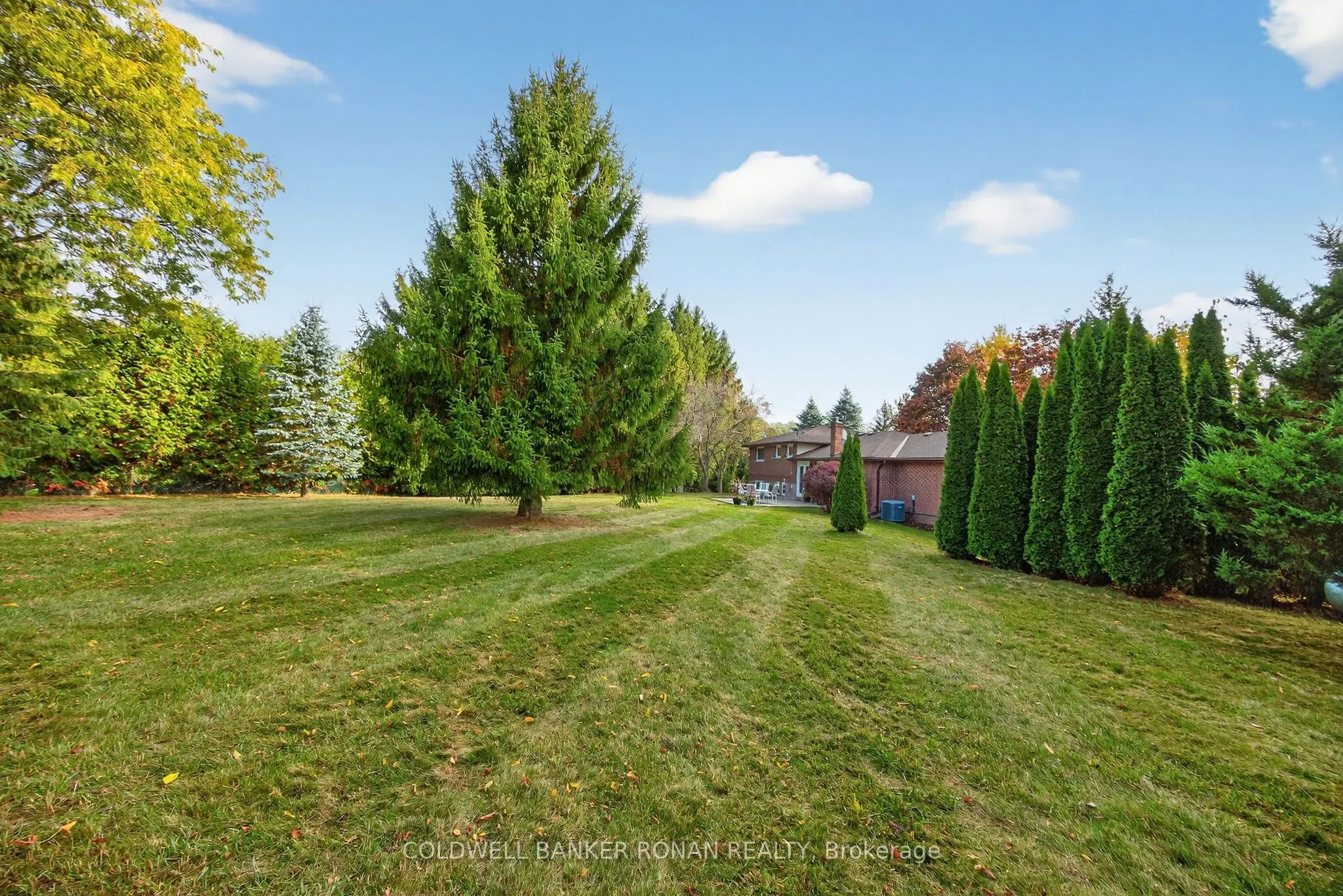 2738 Concession Rd 4