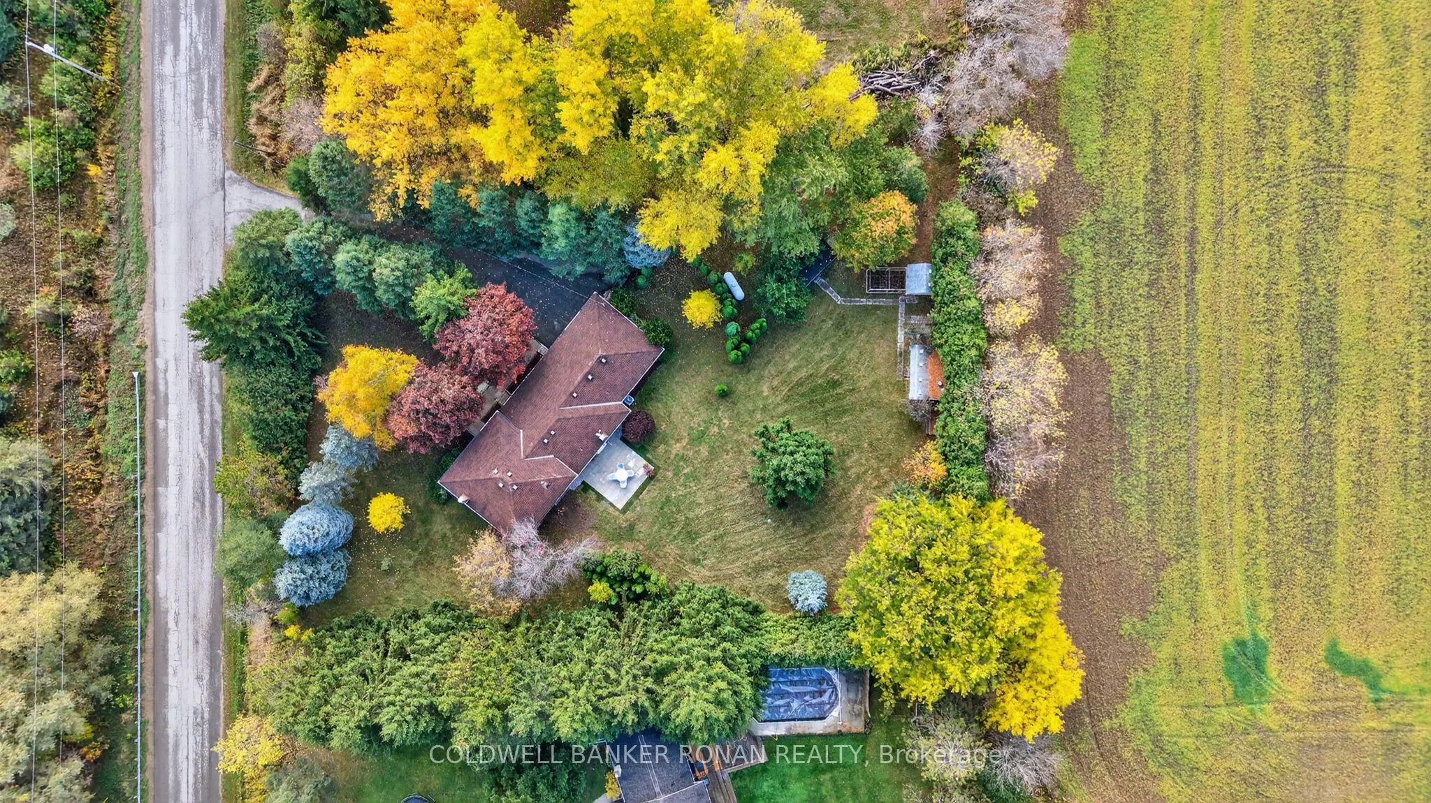 2738 Concession Rd 4