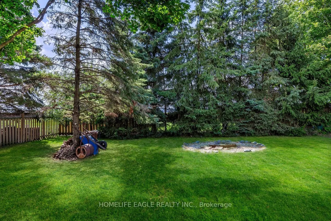 19280 Dufferin Street