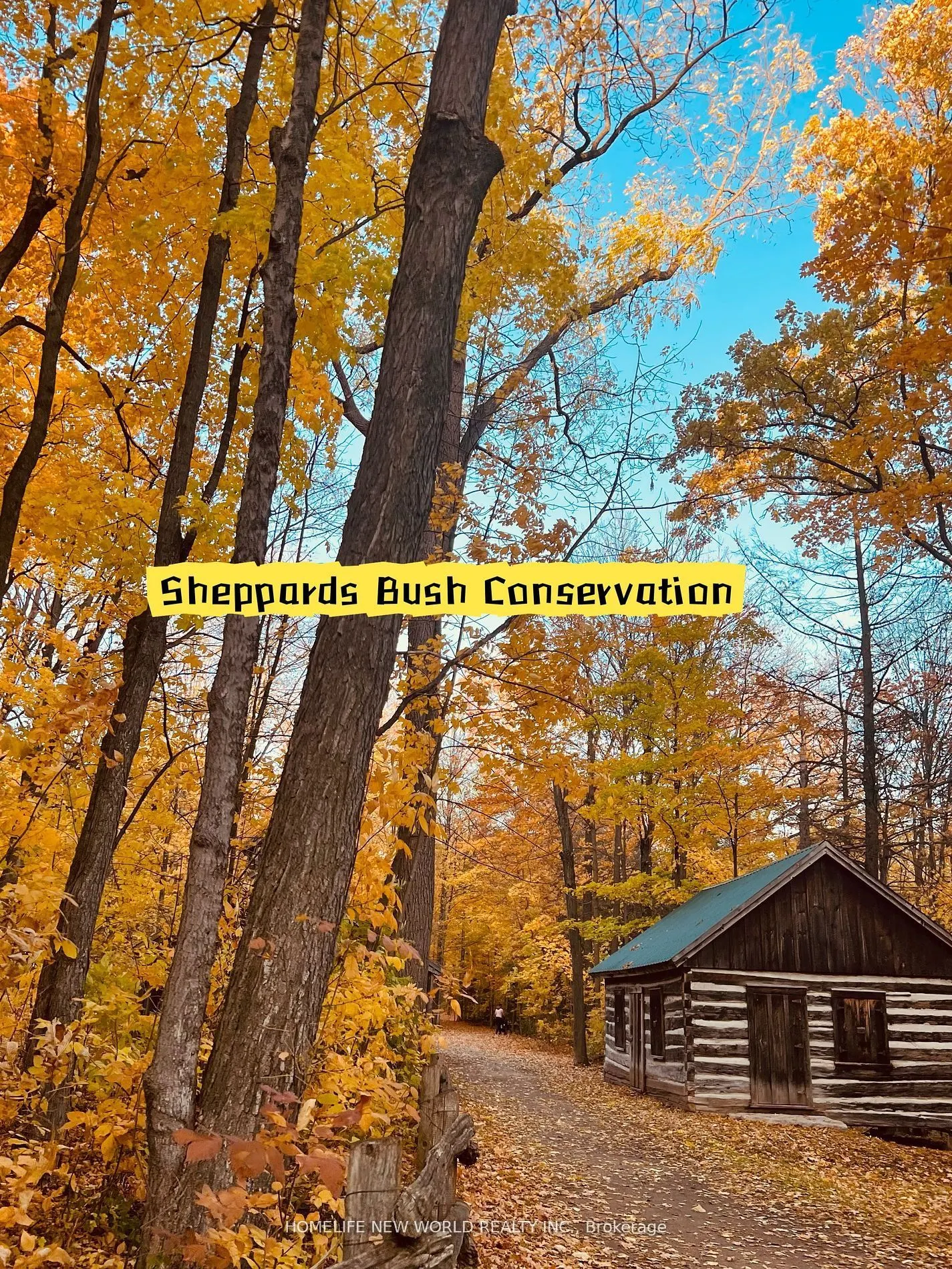 36 Strawbridge Farm Drive