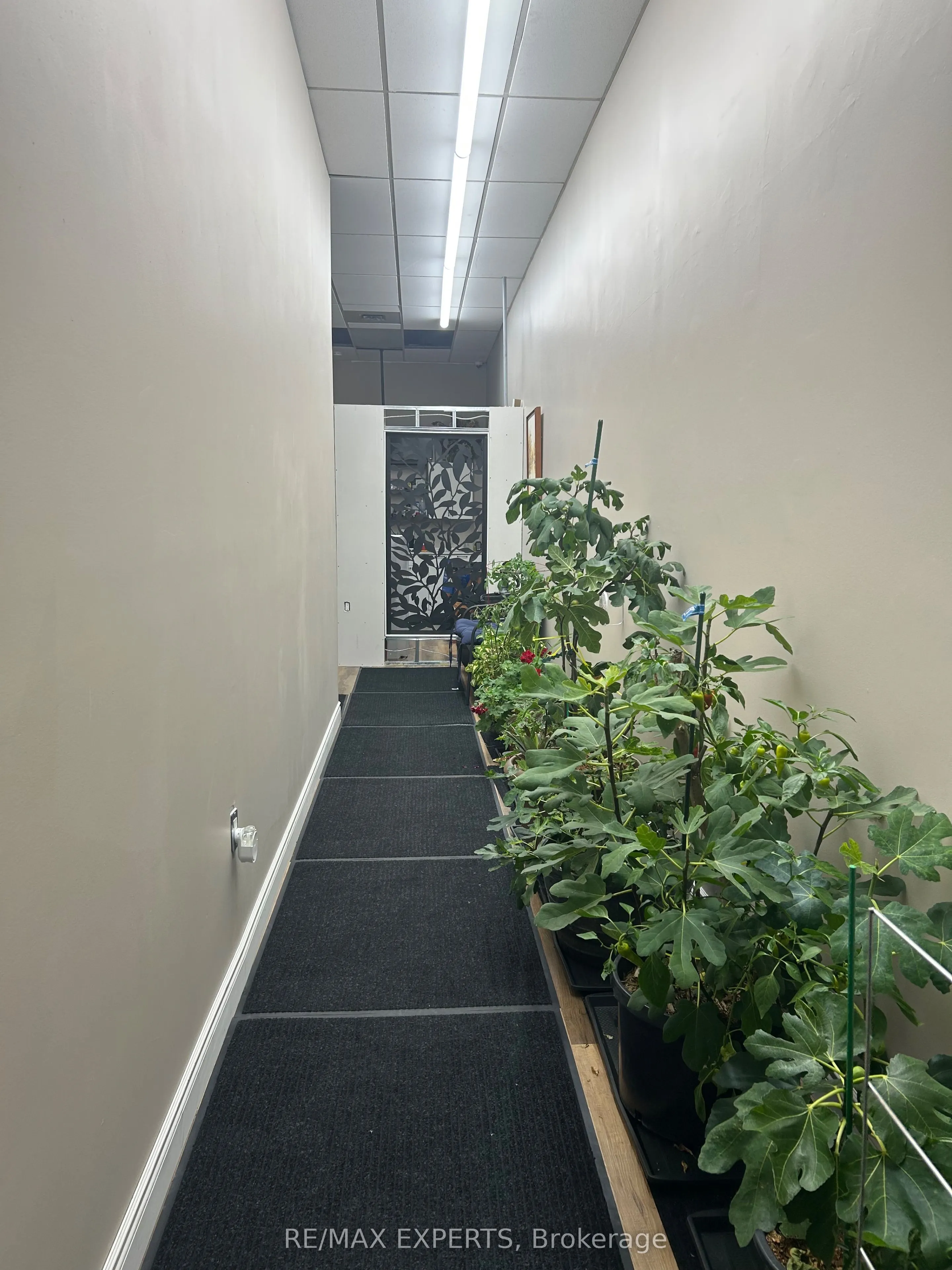 2104 Highway 7 Highway, #4B-2