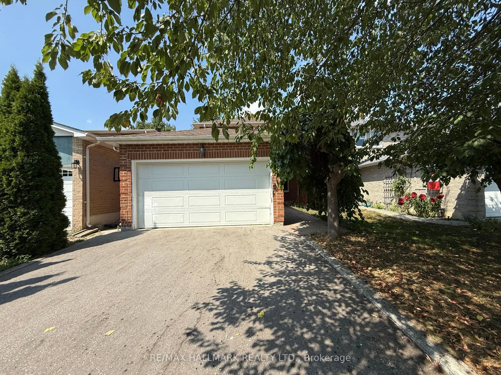 60 Lund Street, #Basement