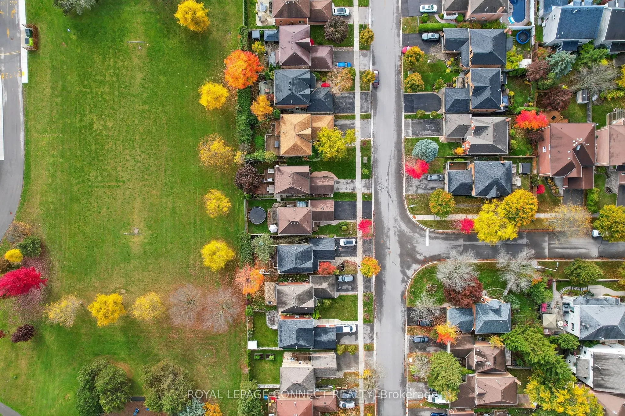 22 Crawford Rose Drive