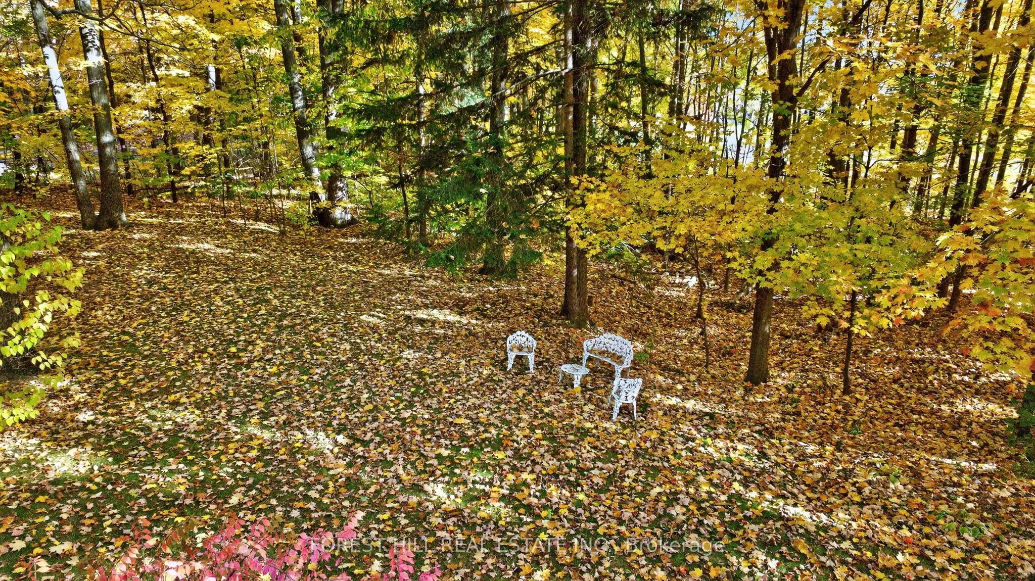 124 Forest Ridge Road