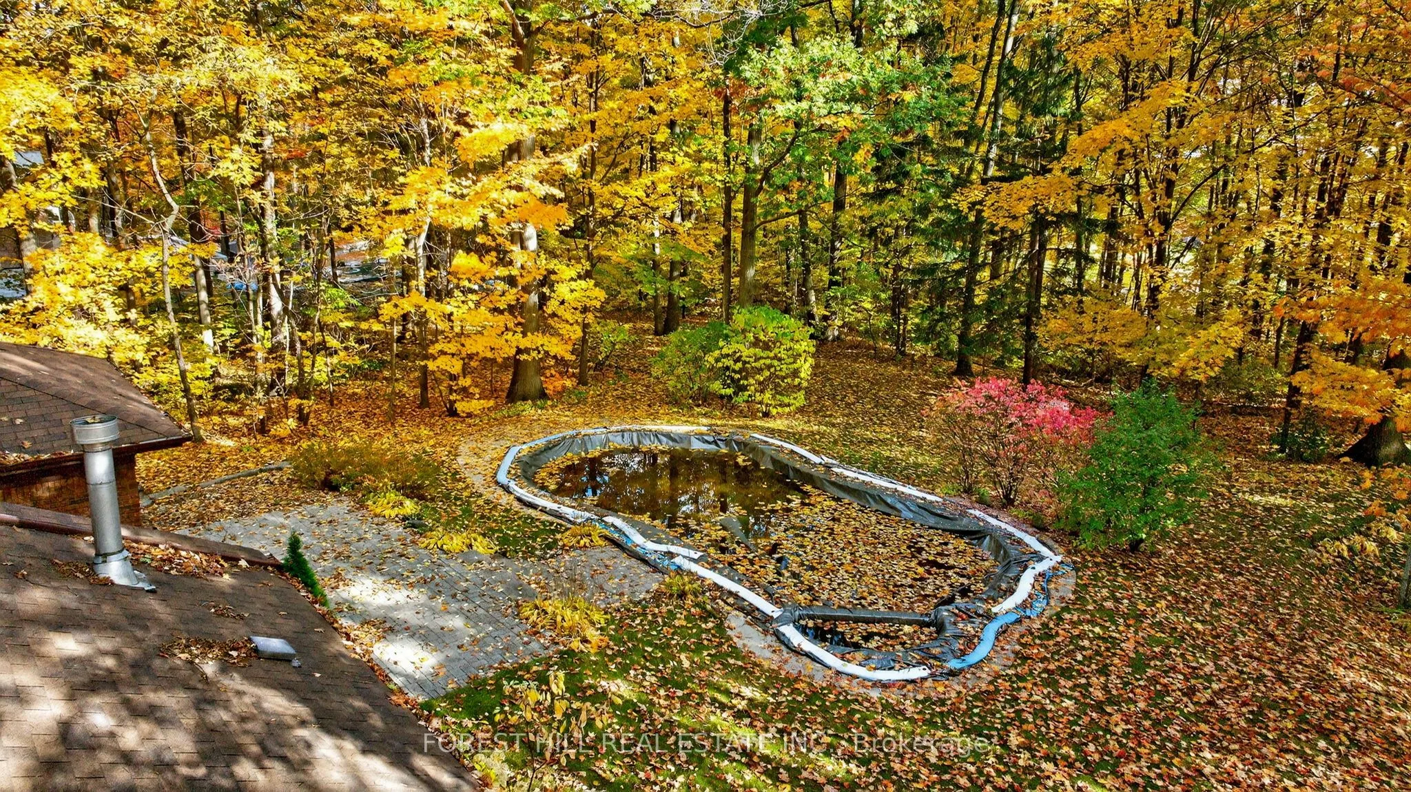 124 Forest Ridge Road