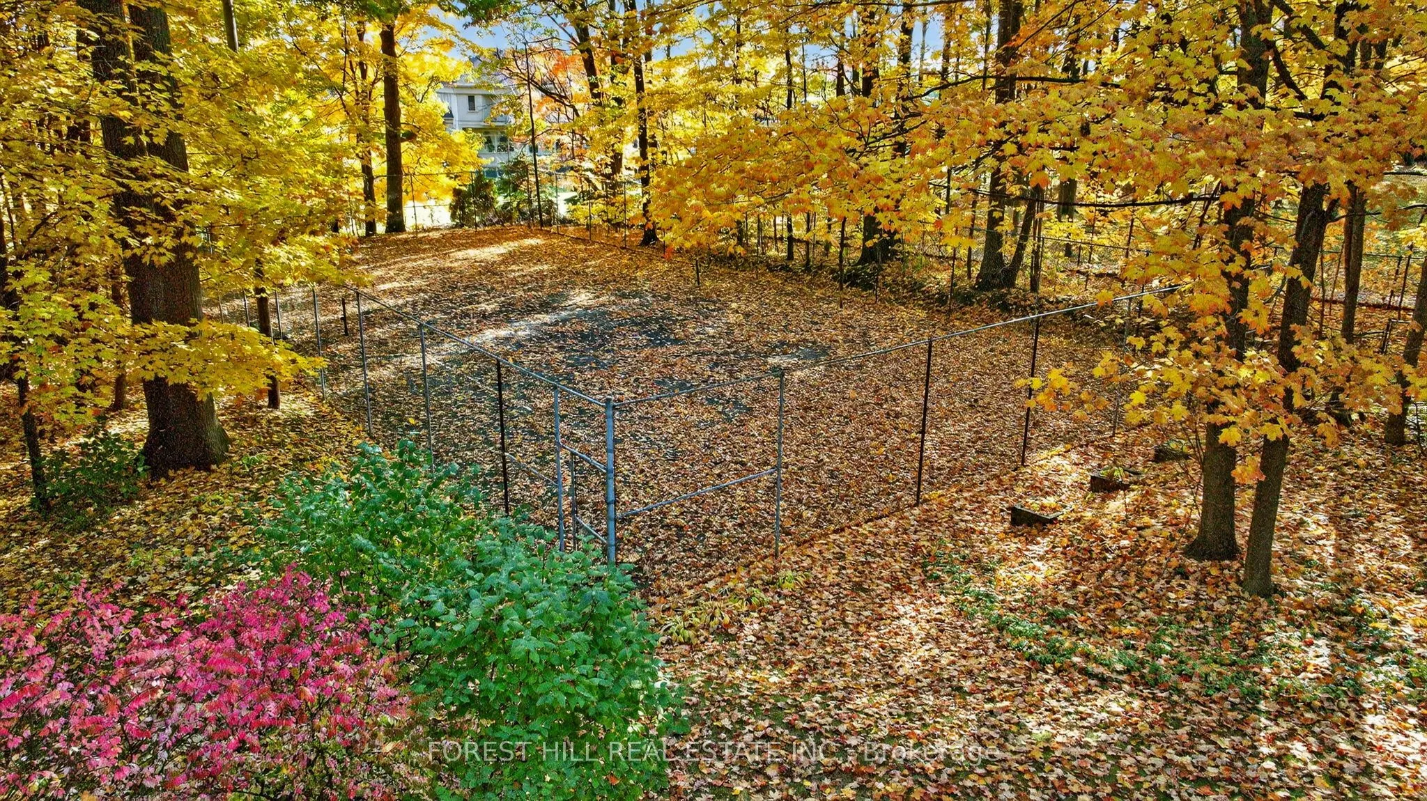 124 Forest Ridge Road