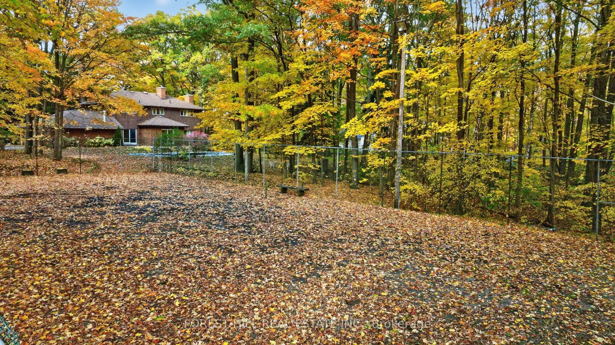 124 Forest Ridge Road