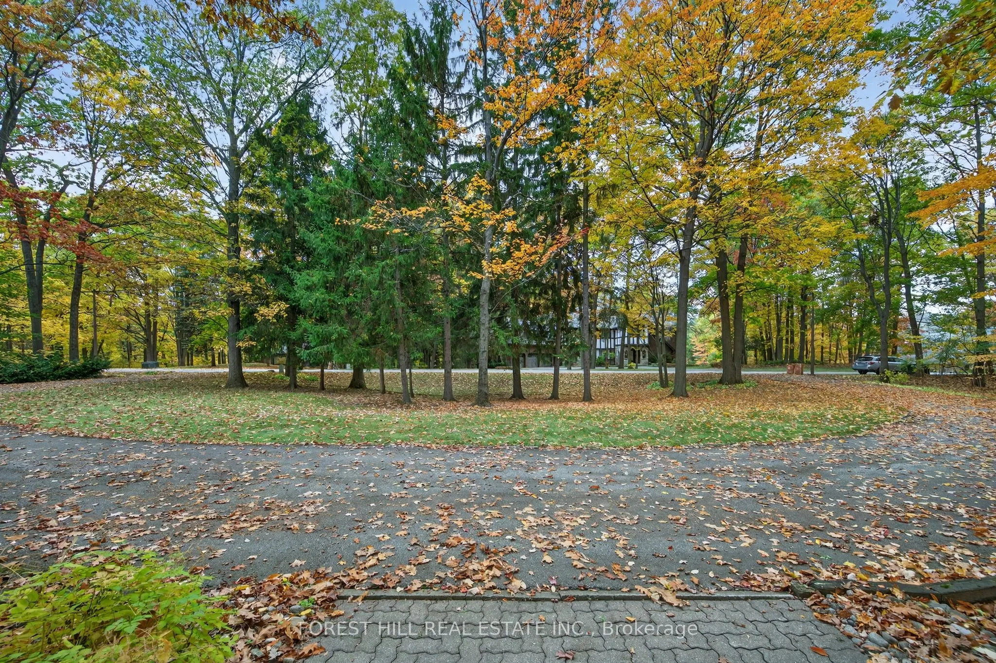 124 Forest Ridge Road