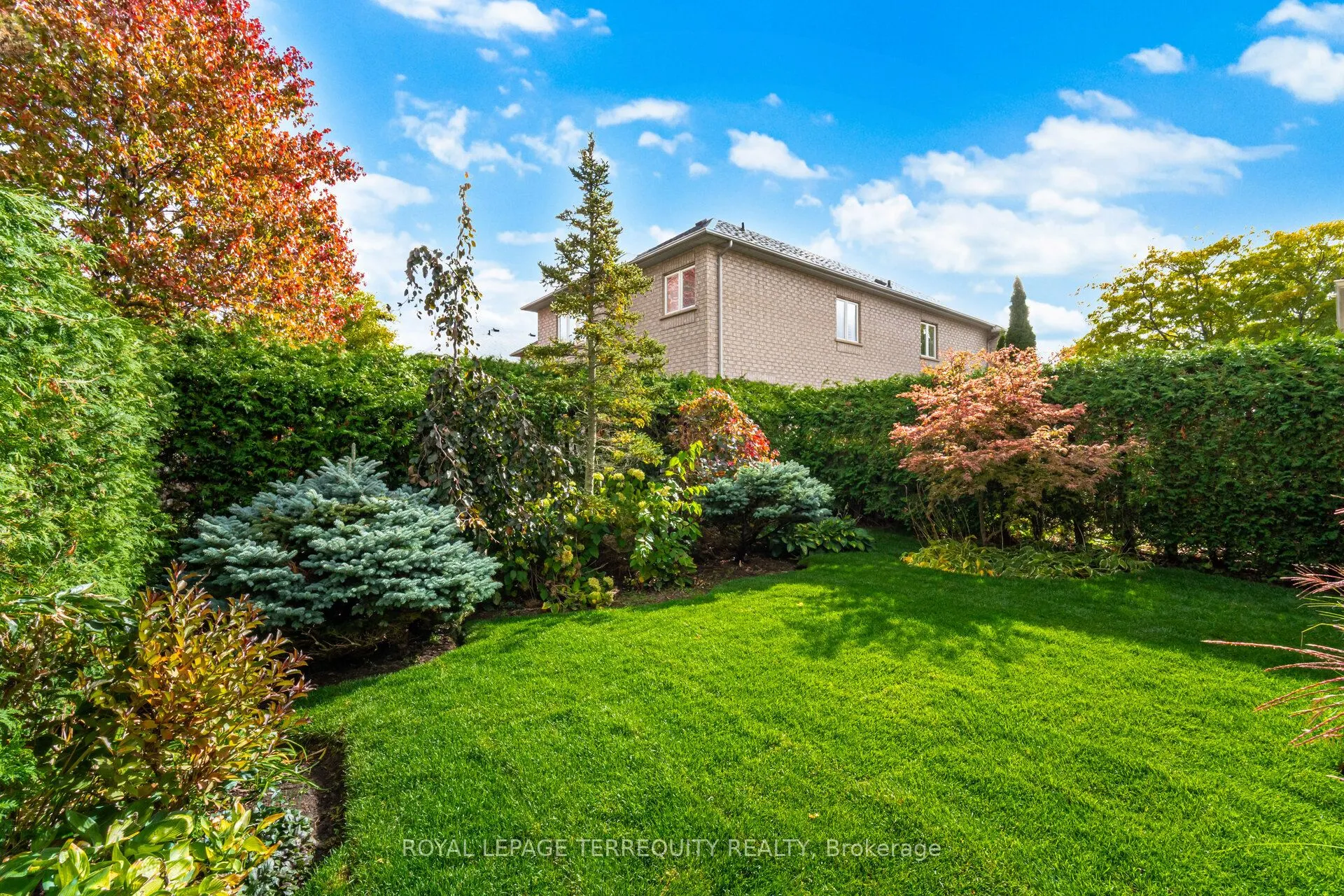 43 Black Walnut Drive