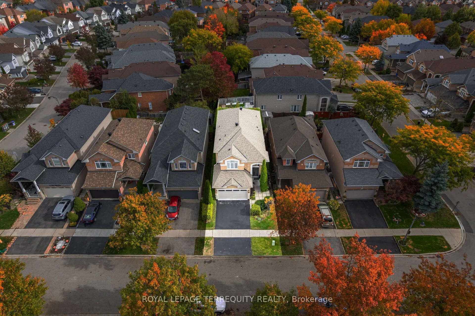 43 Black Walnut Drive