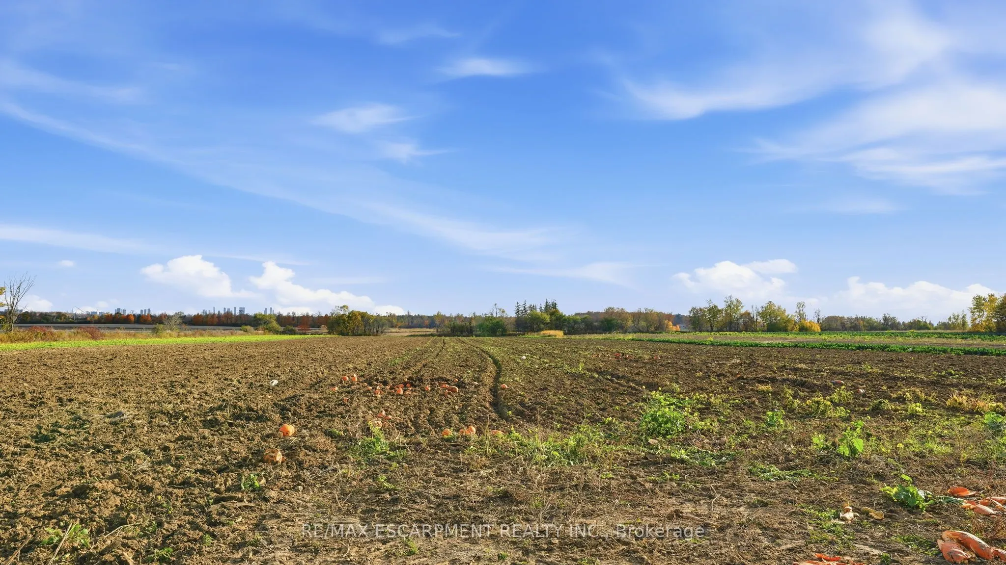 4283 King-Vaughan Road