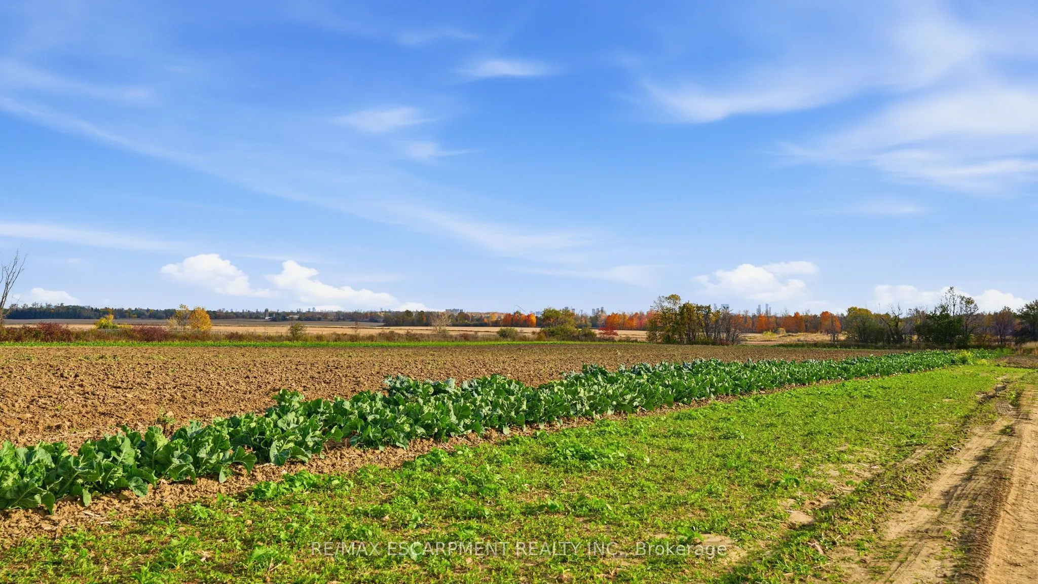 4283 King-Vaughan Road