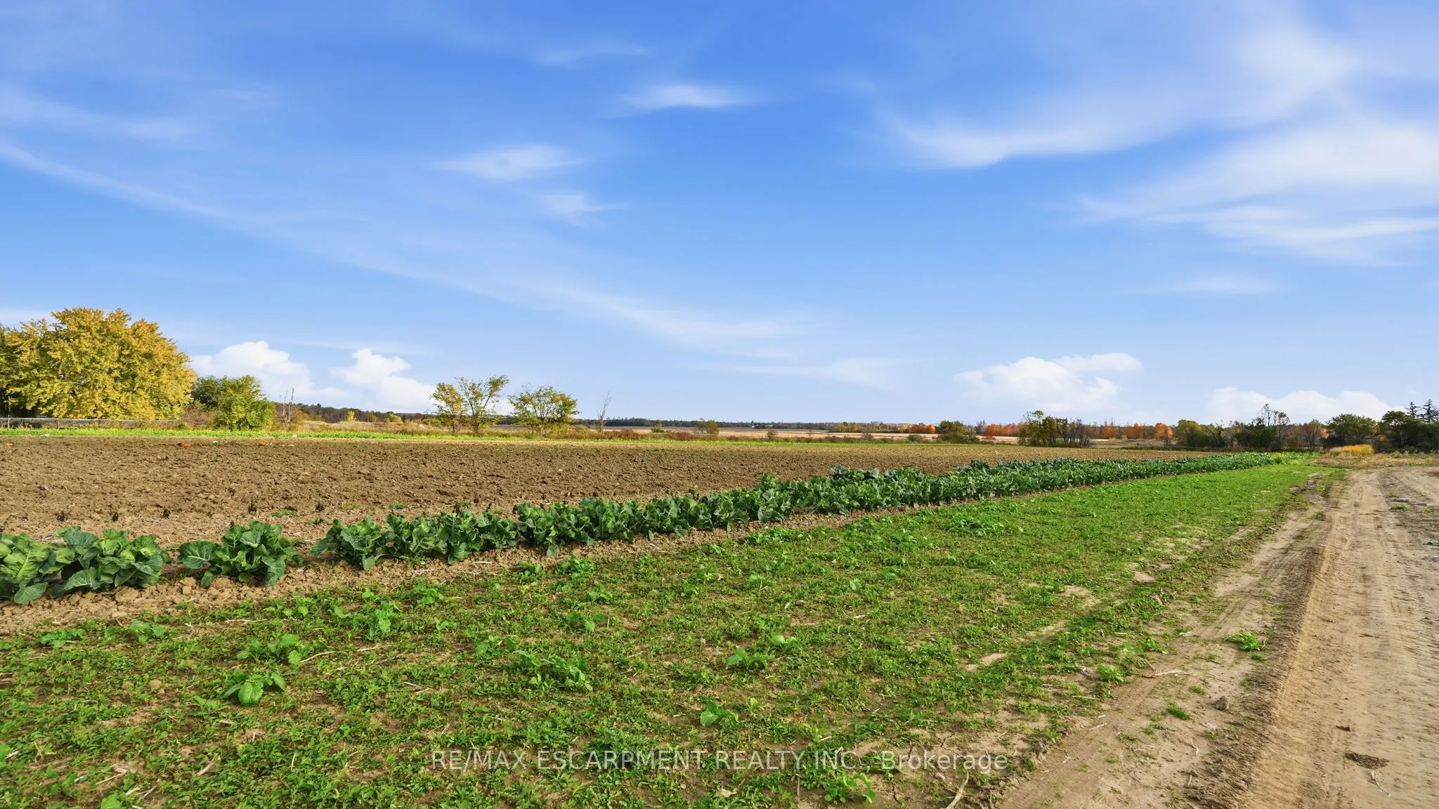 4283 King-Vaughan Road