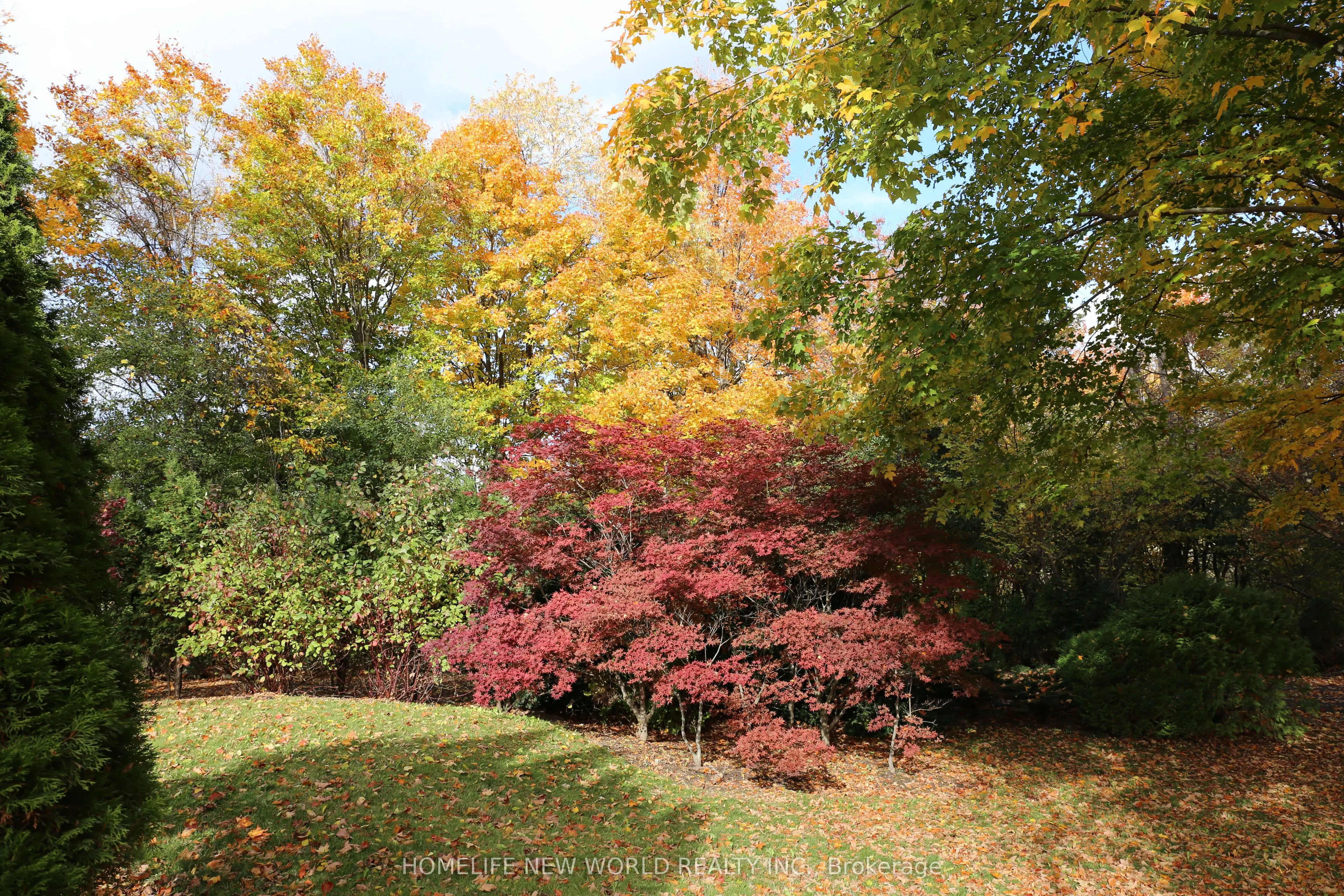 13867 Woodbine Avenue