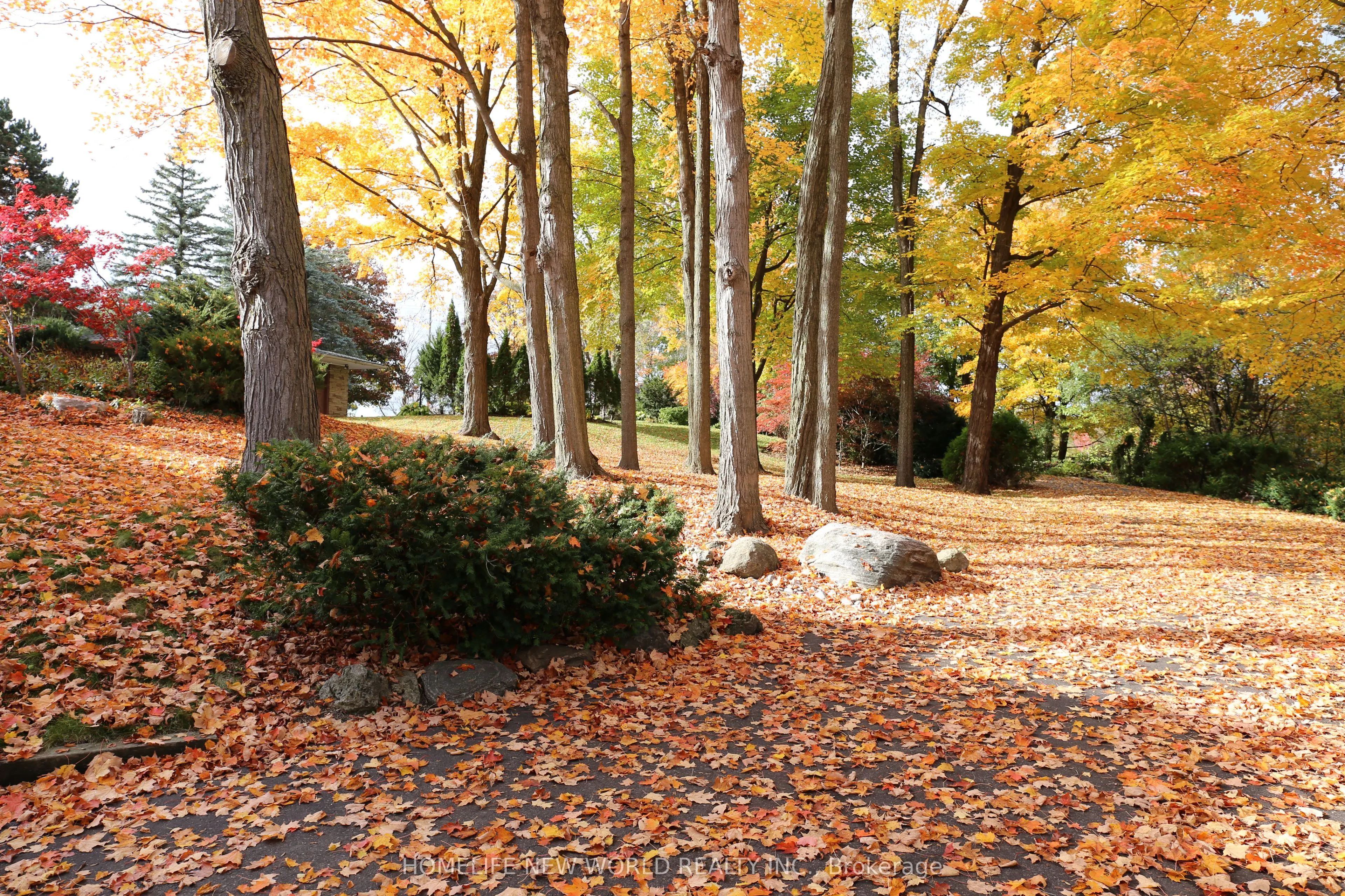 13867 Woodbine Avenue