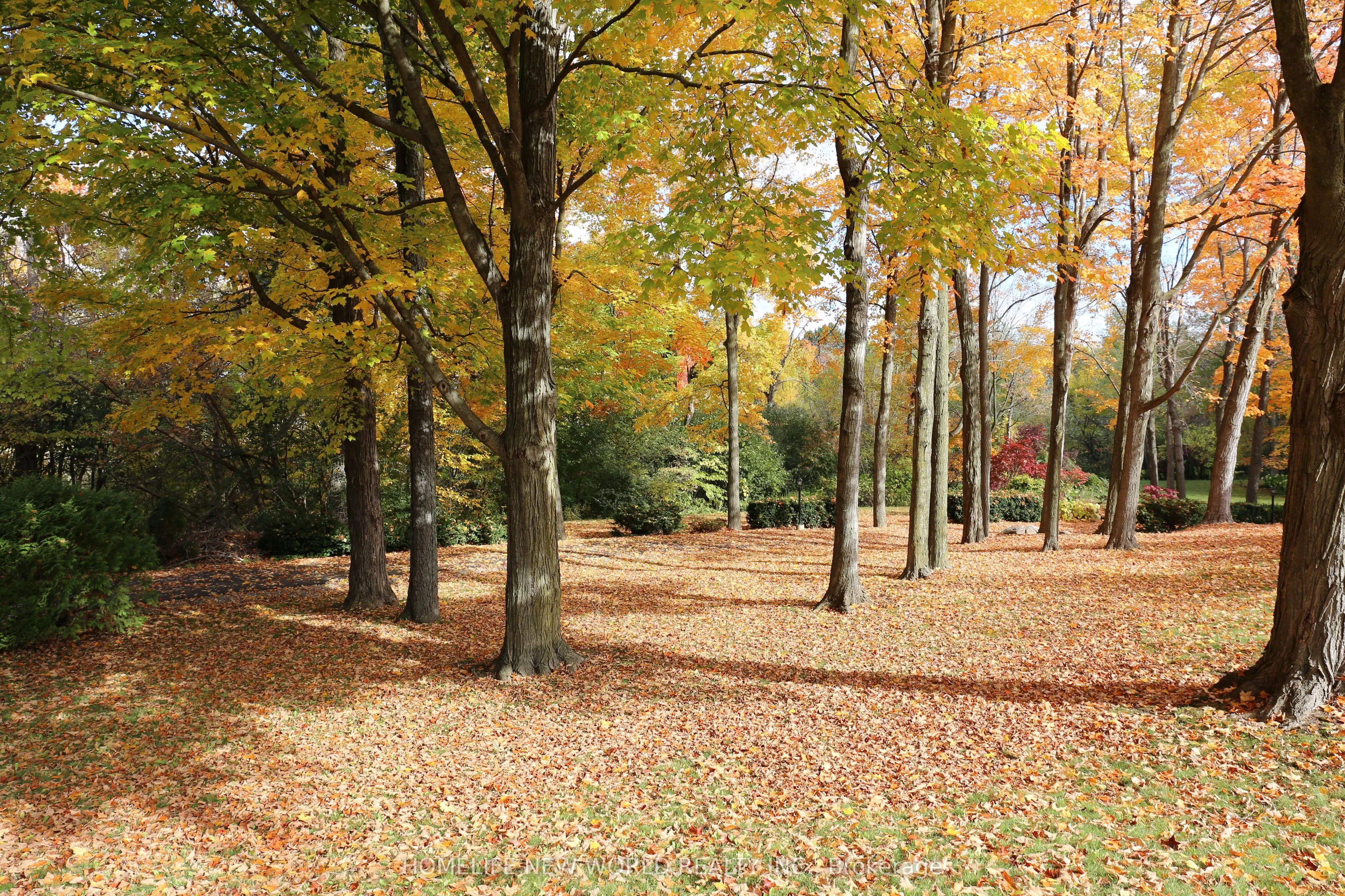 13867 Woodbine Avenue