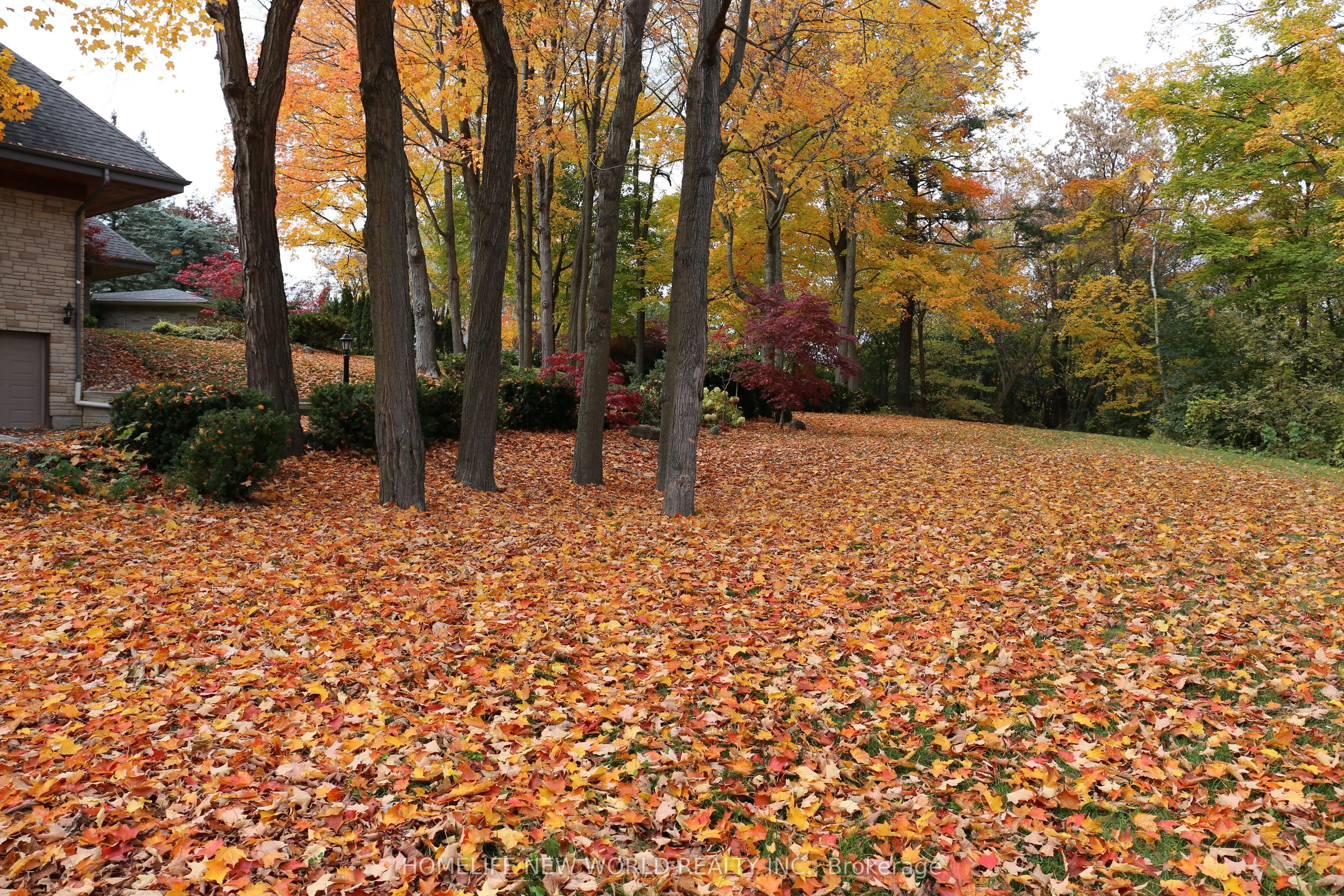 13867 Woodbine Avenue