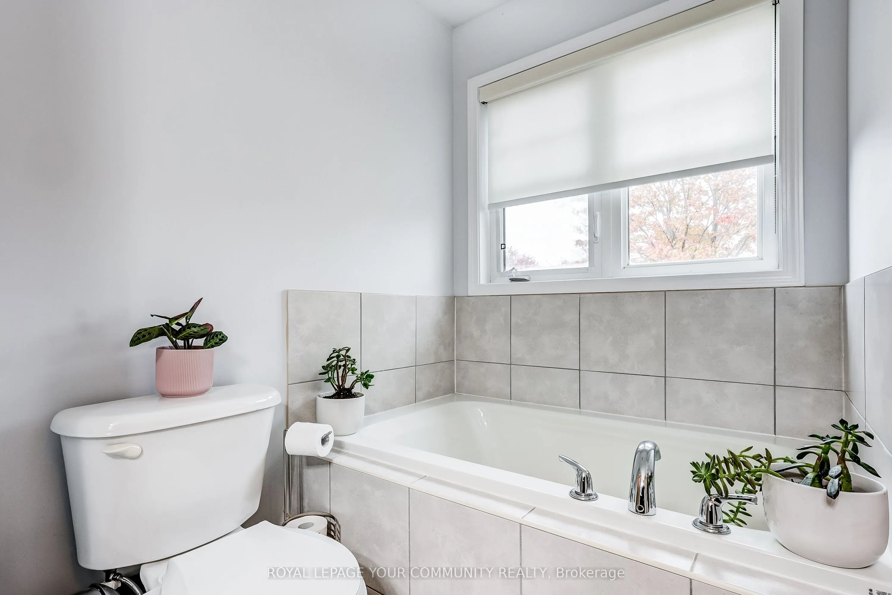 34 Miltrose Crescent