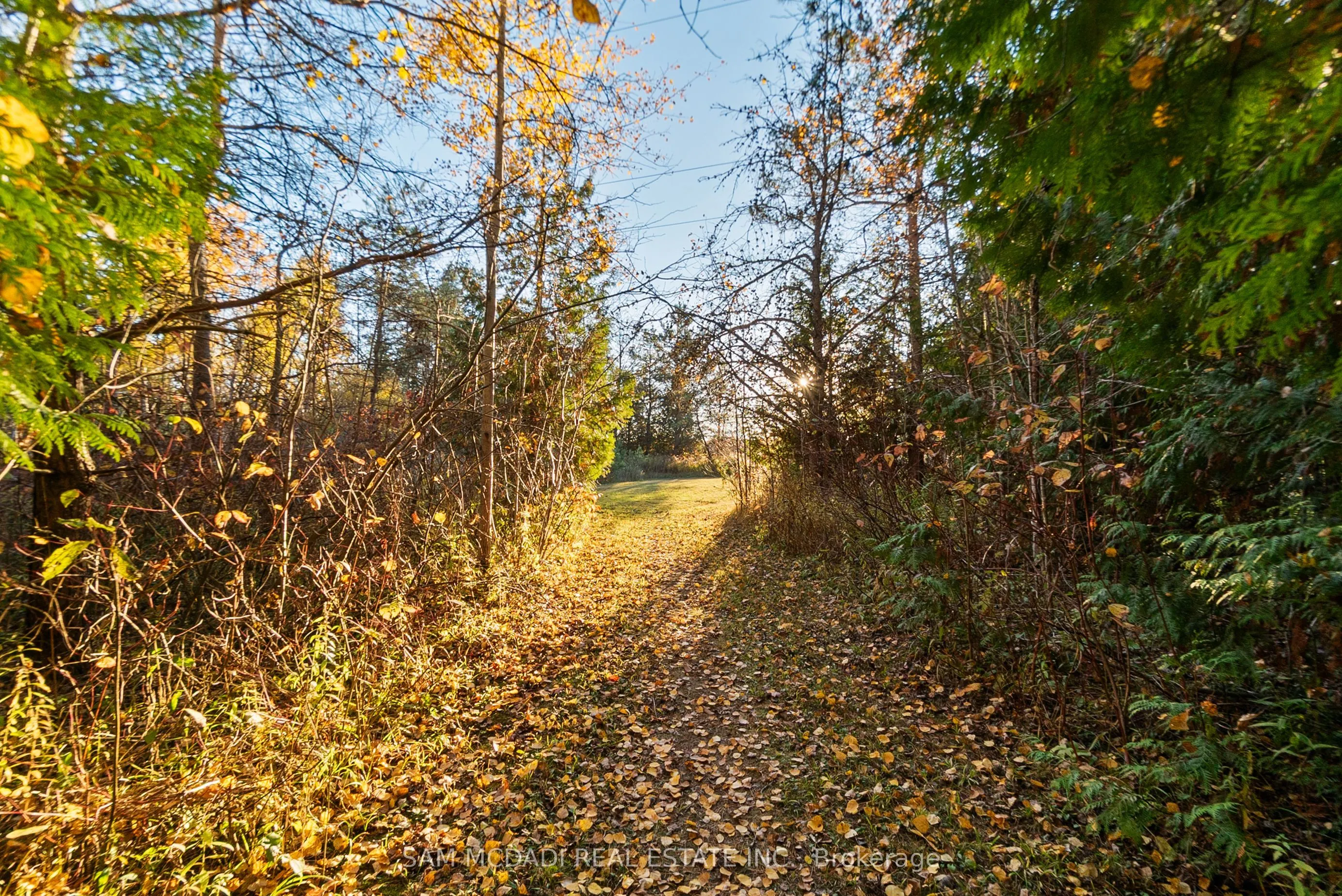 2993 Innisfil Beach Road