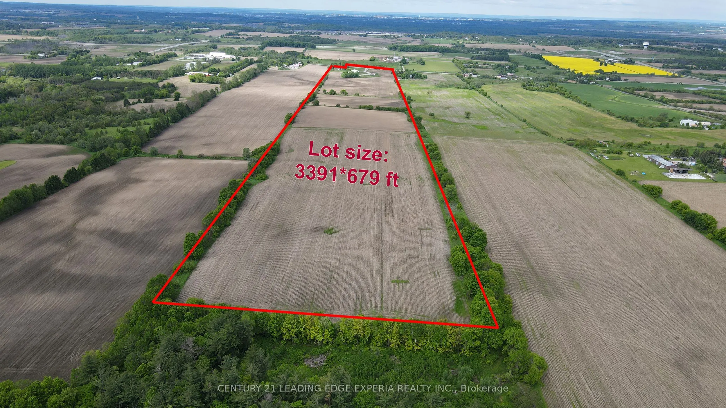 20091 Woodbine Avenue