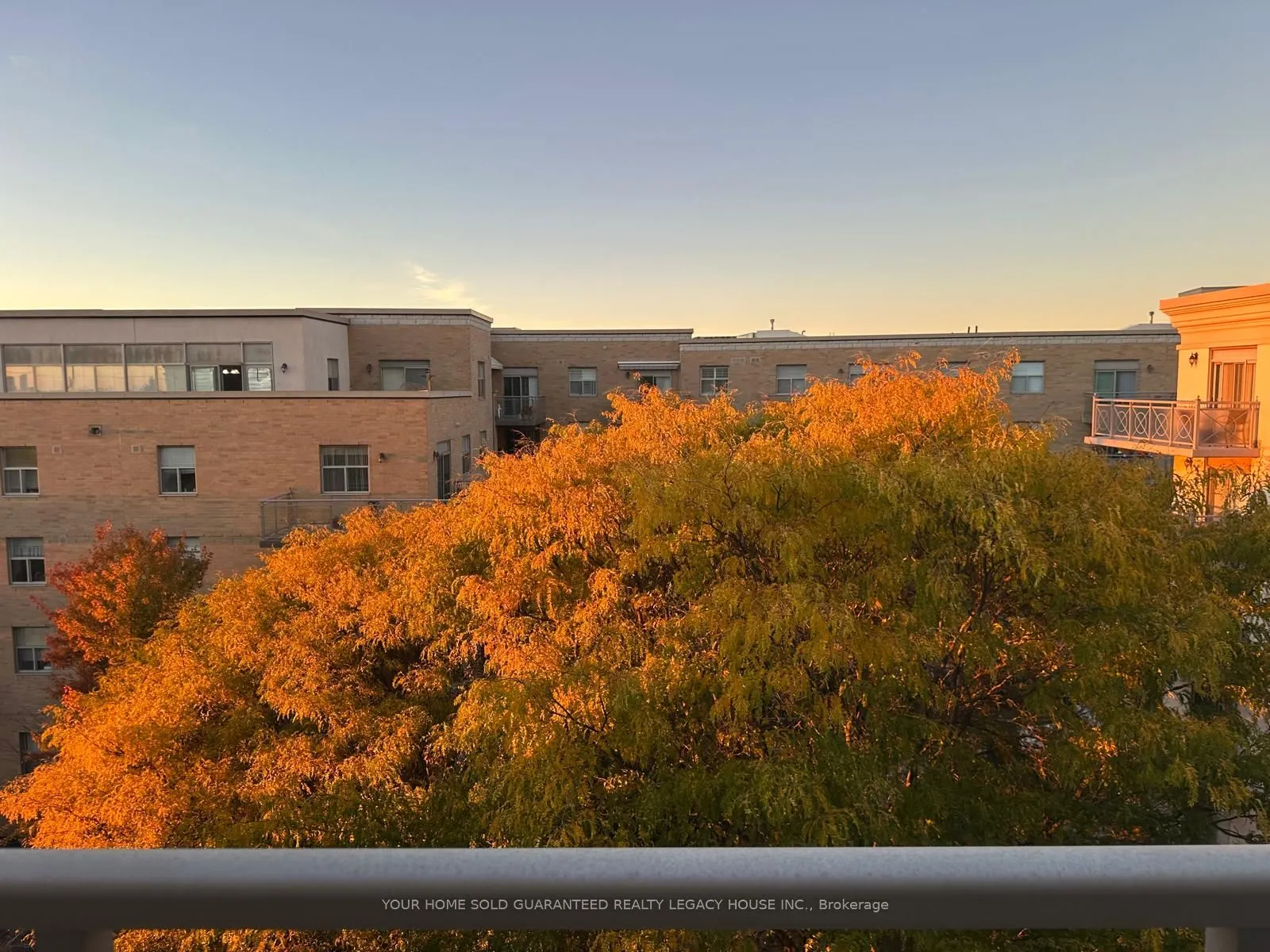 2500 Rutherford Road #502