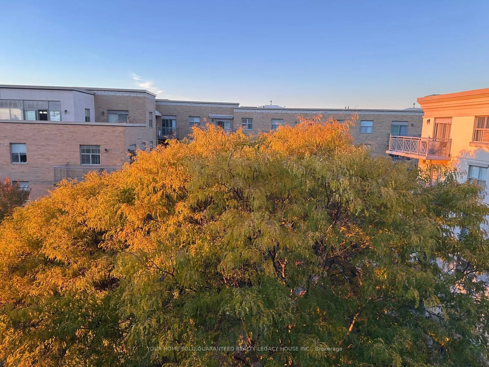 2500 Rutherford Road #502