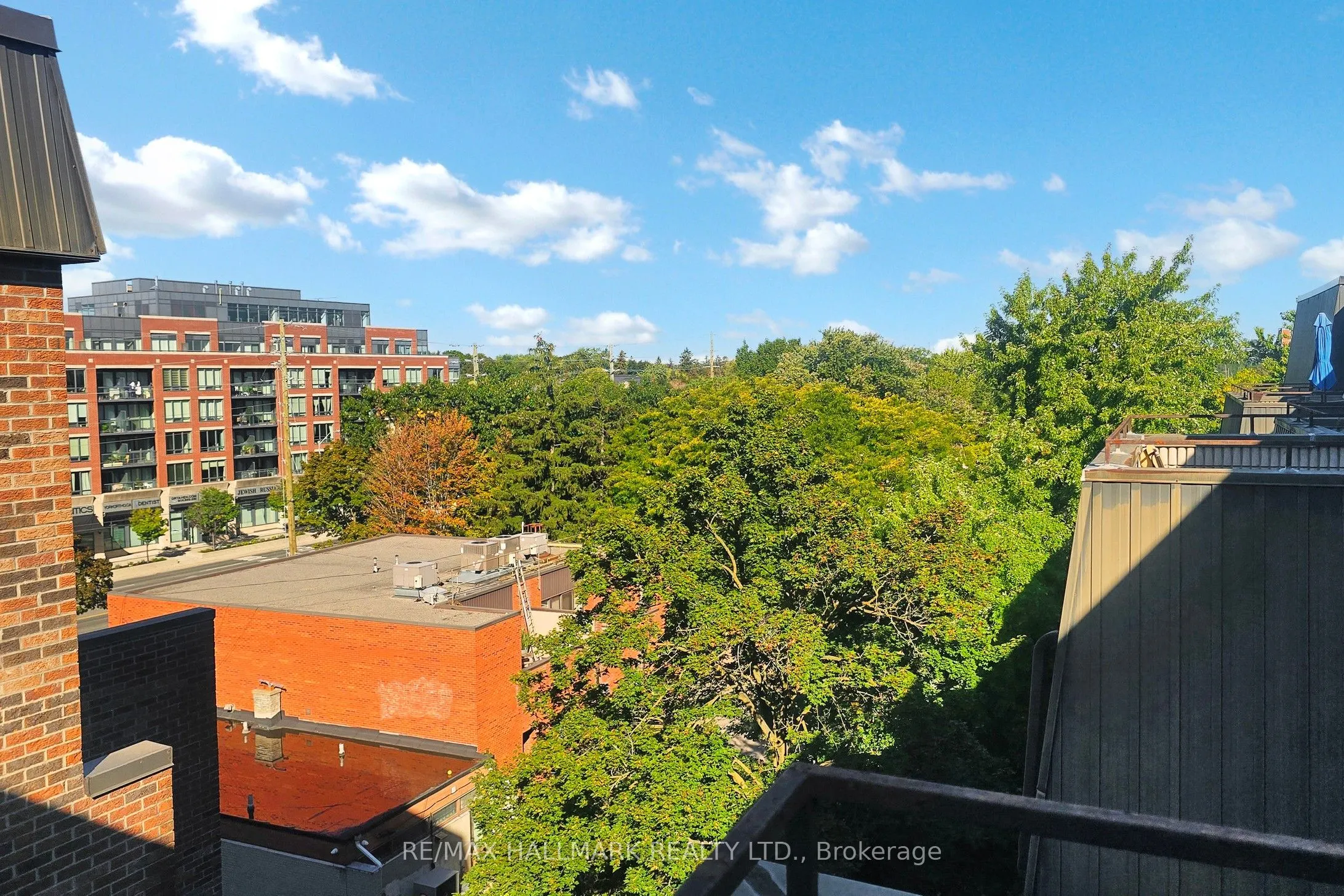 16 Elgin Street #316