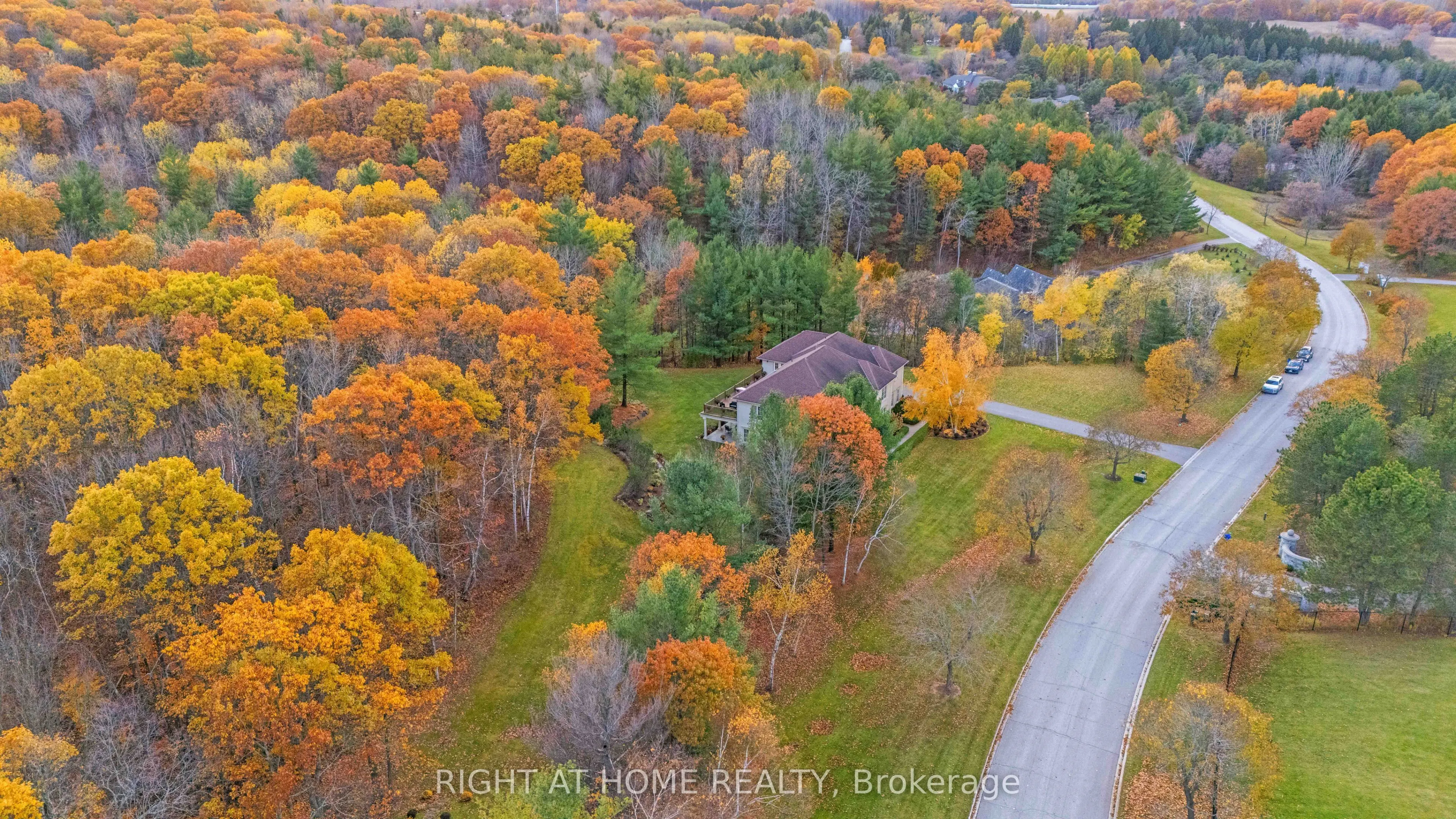 65 Kingswood Drive