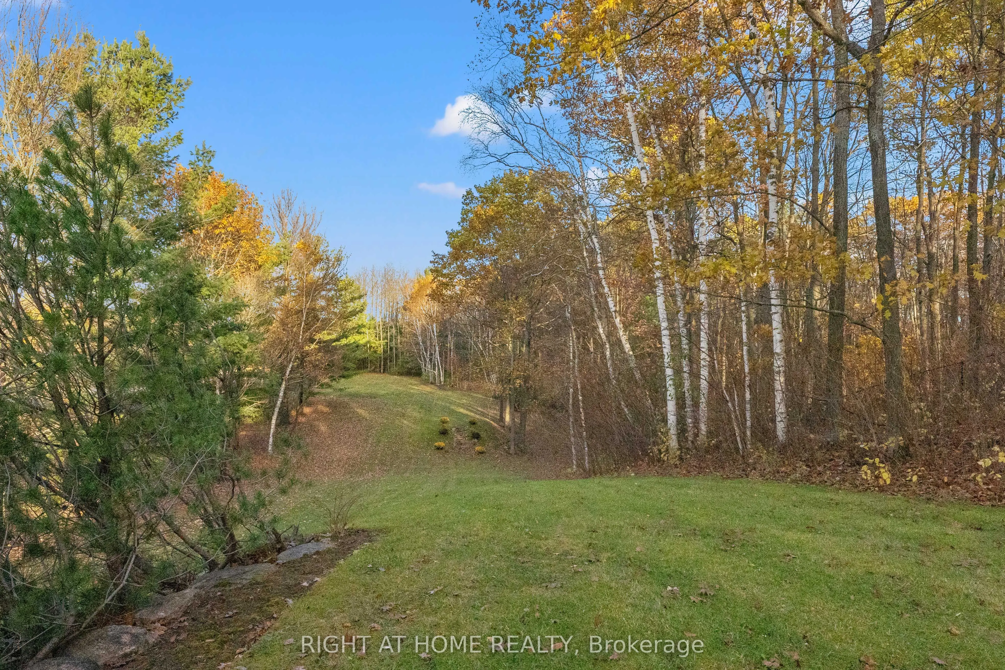65 Kingswood Drive