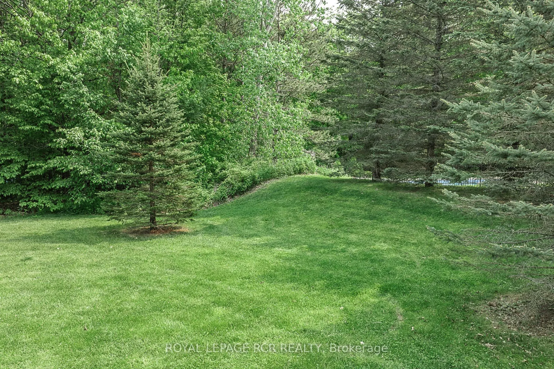 12 Deer Run