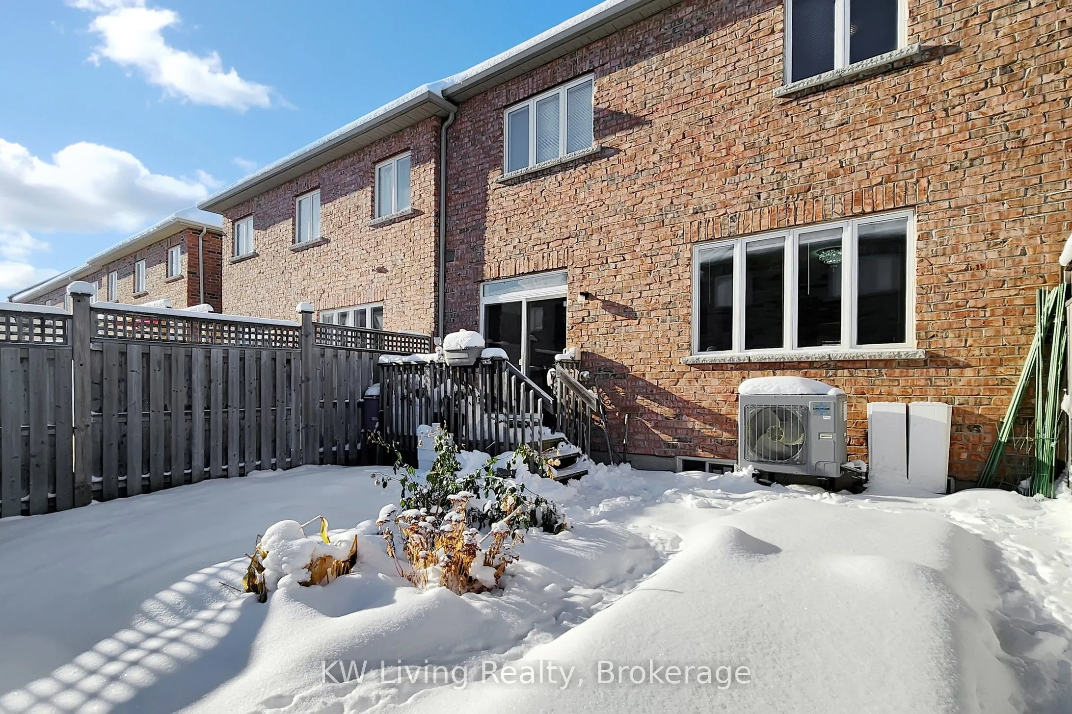 19 Begonia Street