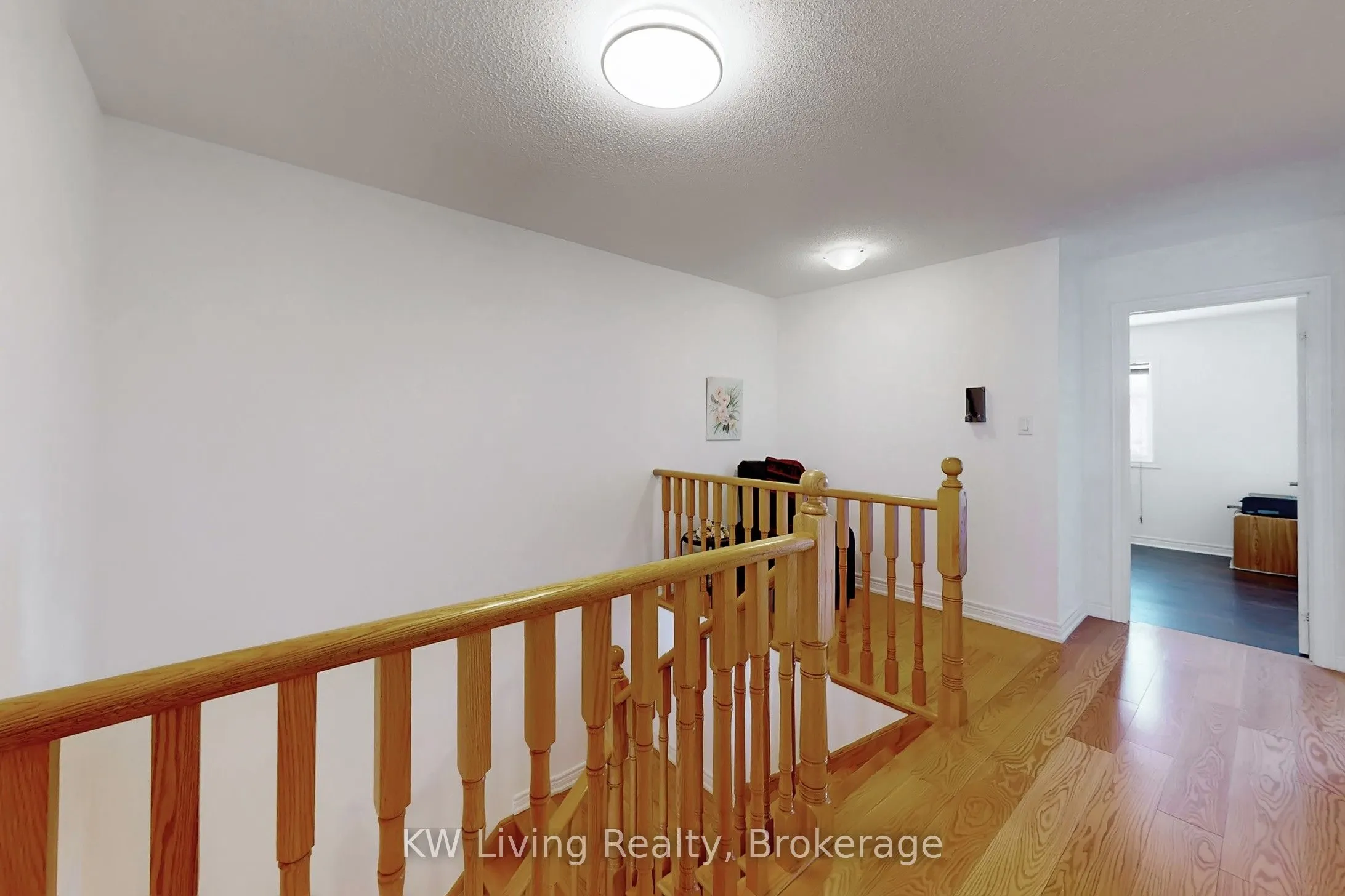 19 Begonia Street