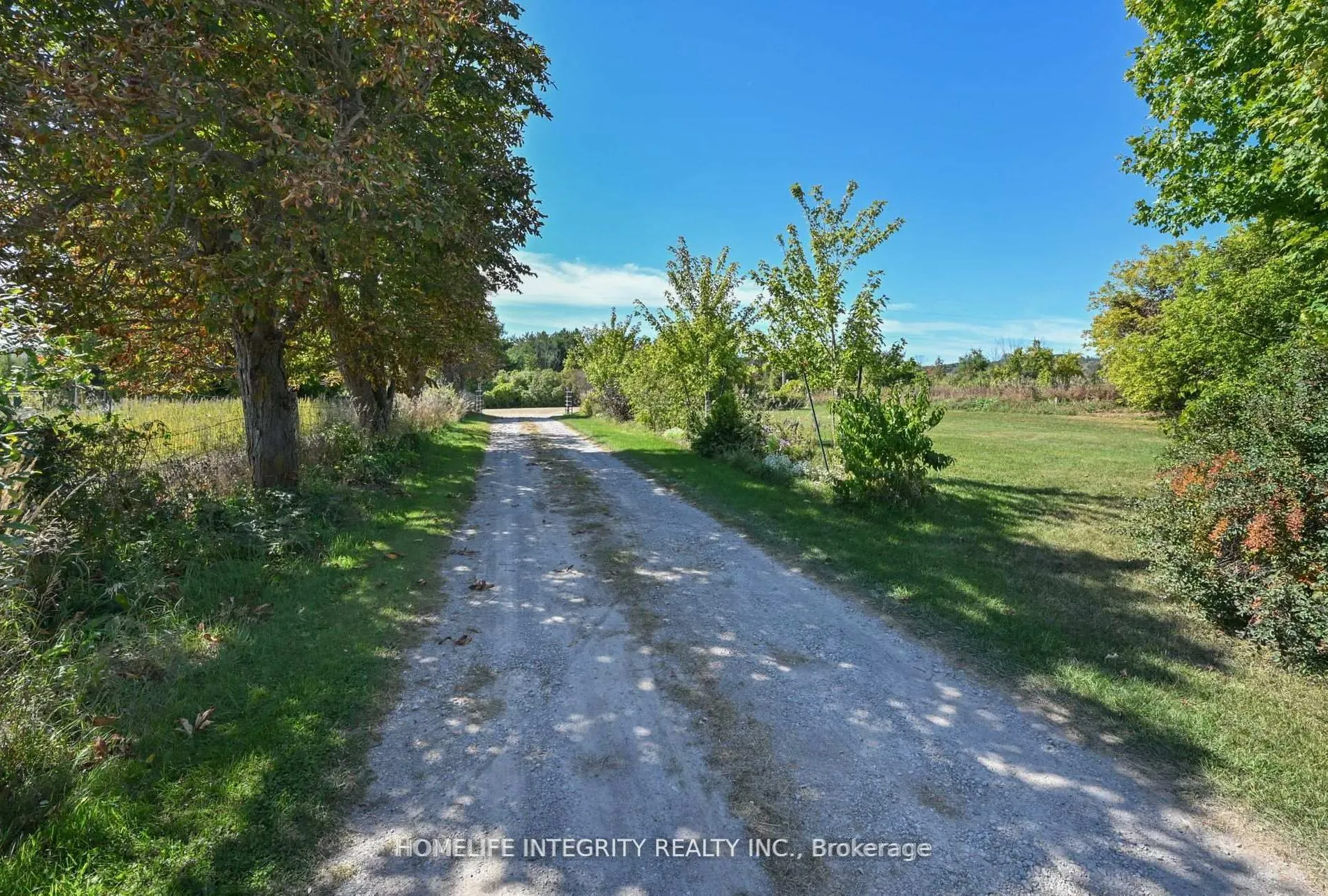 995305 Mono Adjala Townline