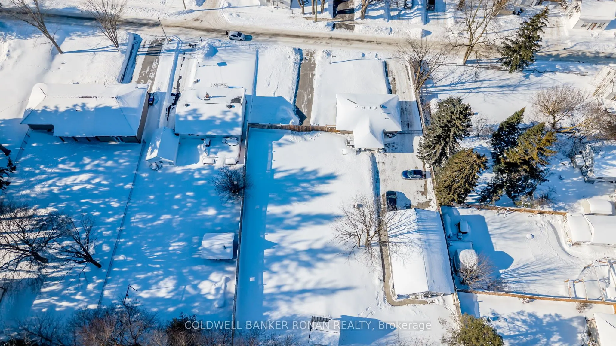 10 Stoddart Street
