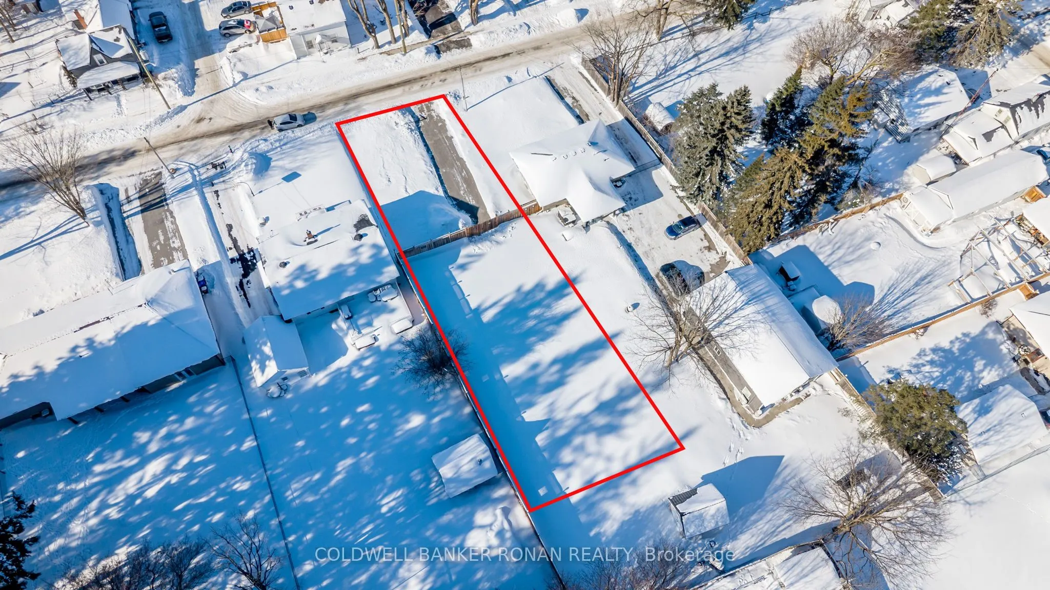 10 Stoddart Street