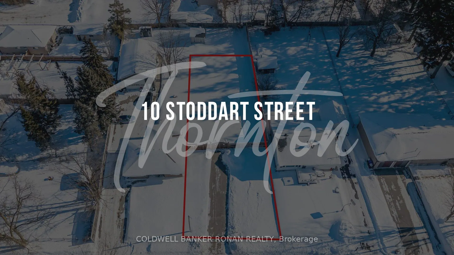 10 Stoddart Street