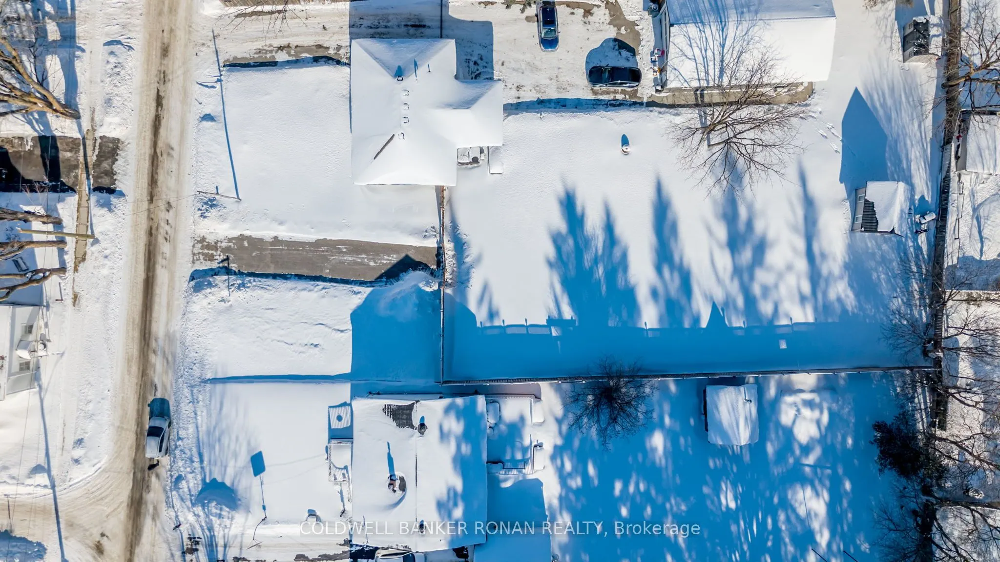 10 Stoddart Street