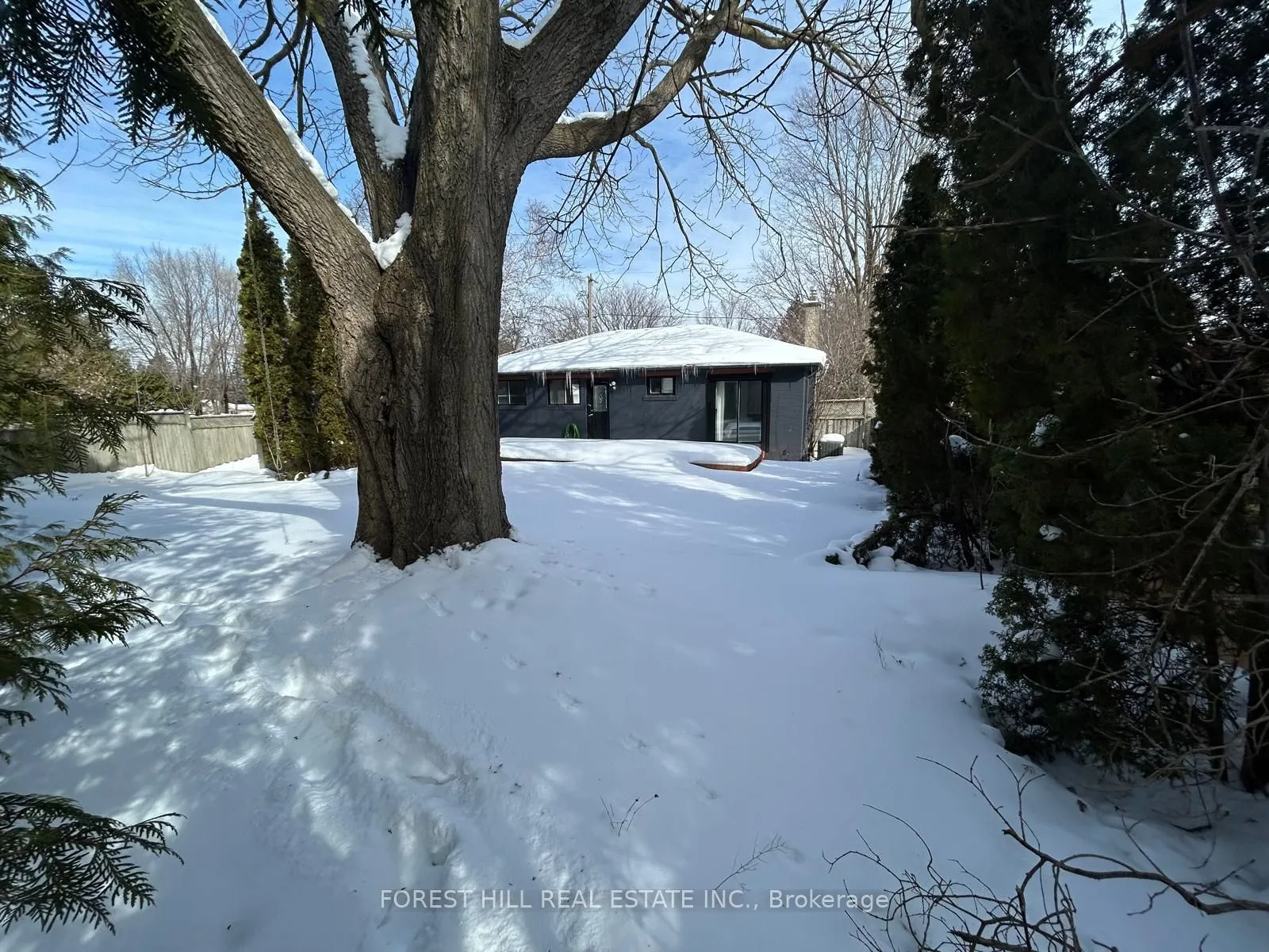 1 Willis Drive