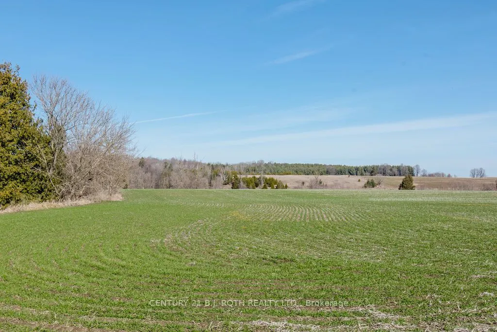 7468 25th Side Road