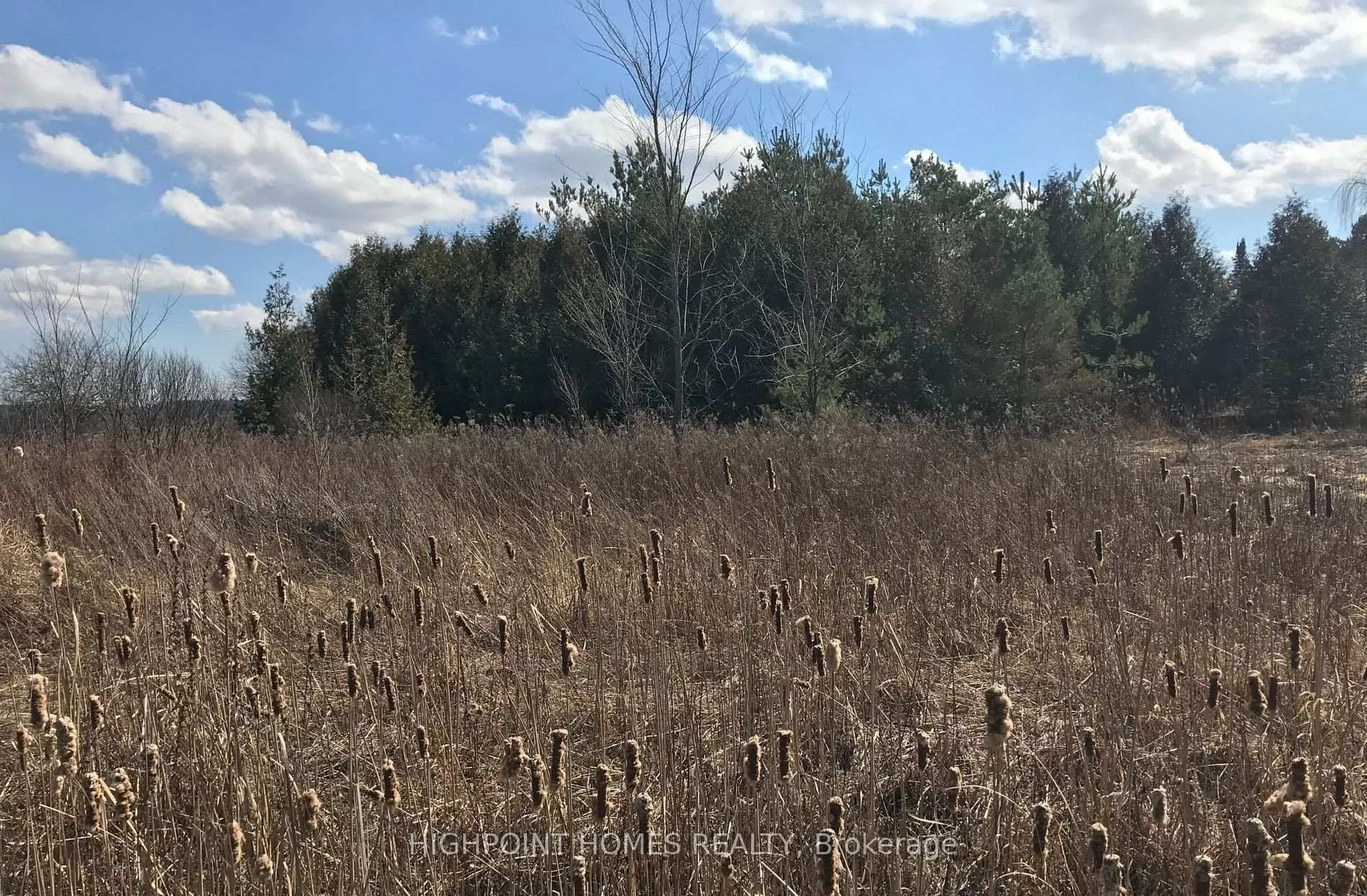 749 Regional Road