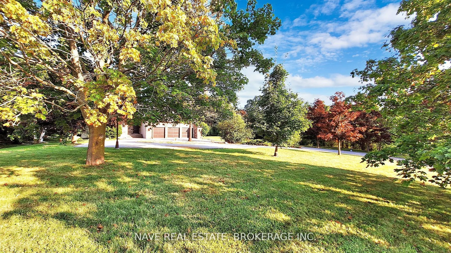 63 Elderberry Trail