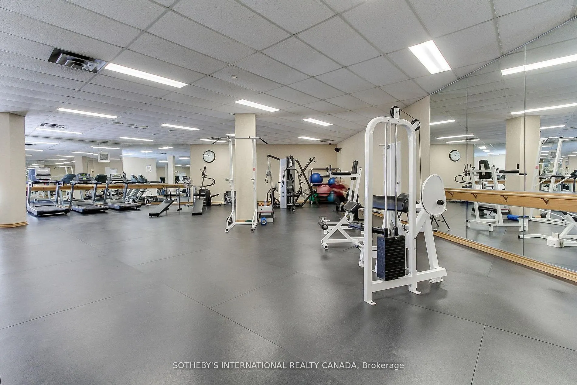40 Harding Boulevard W #301