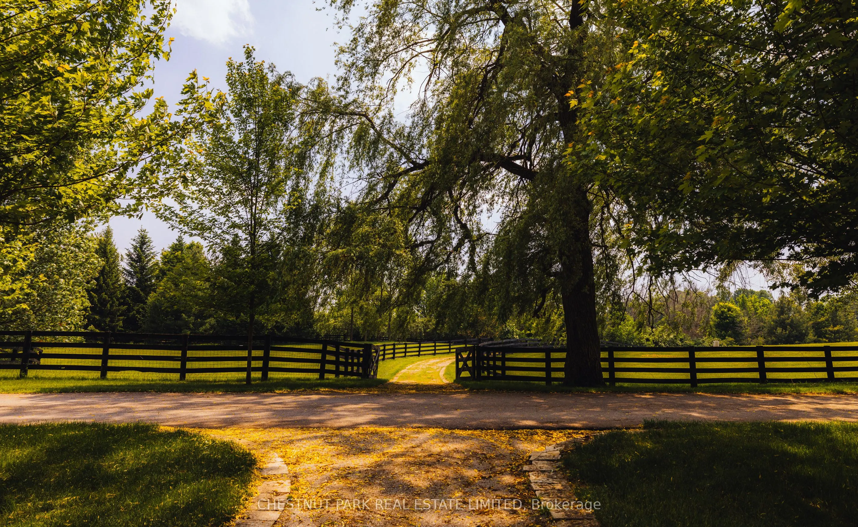 13570 7th Concession Road