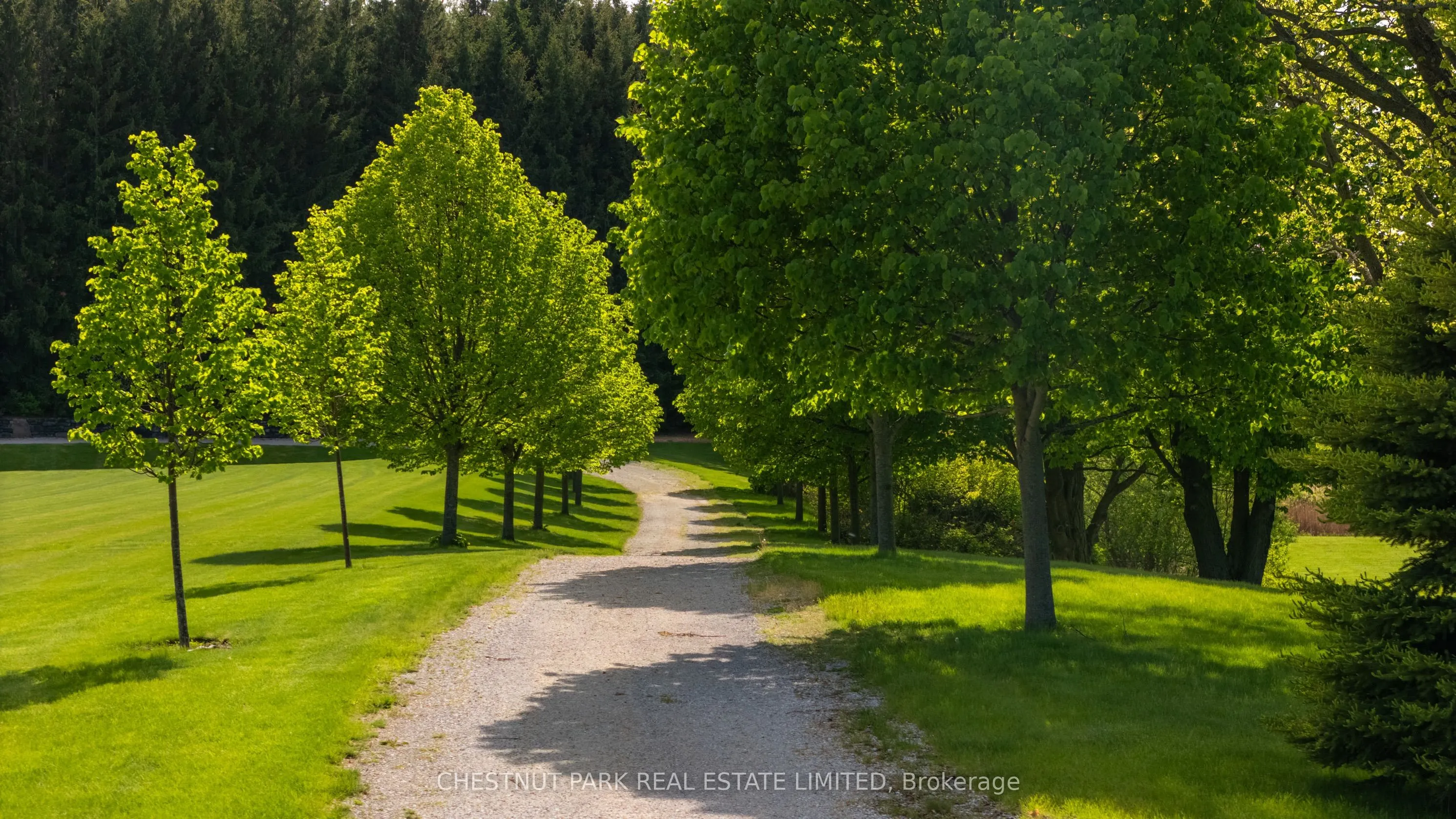 13570 7th Concession Road