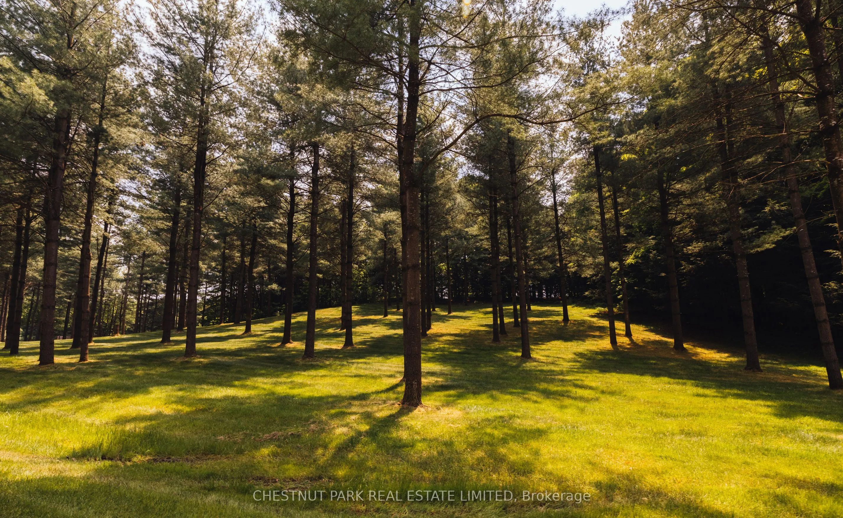 13570 7th Concession Road