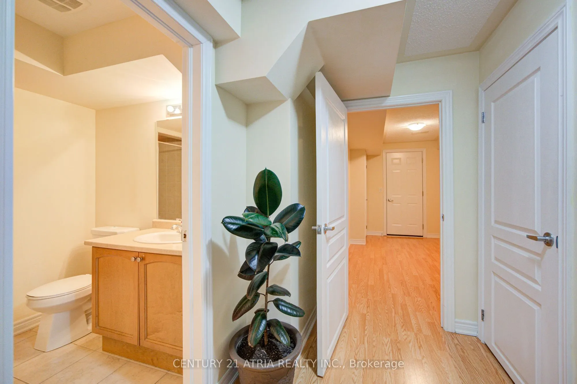 135 Windrow Street