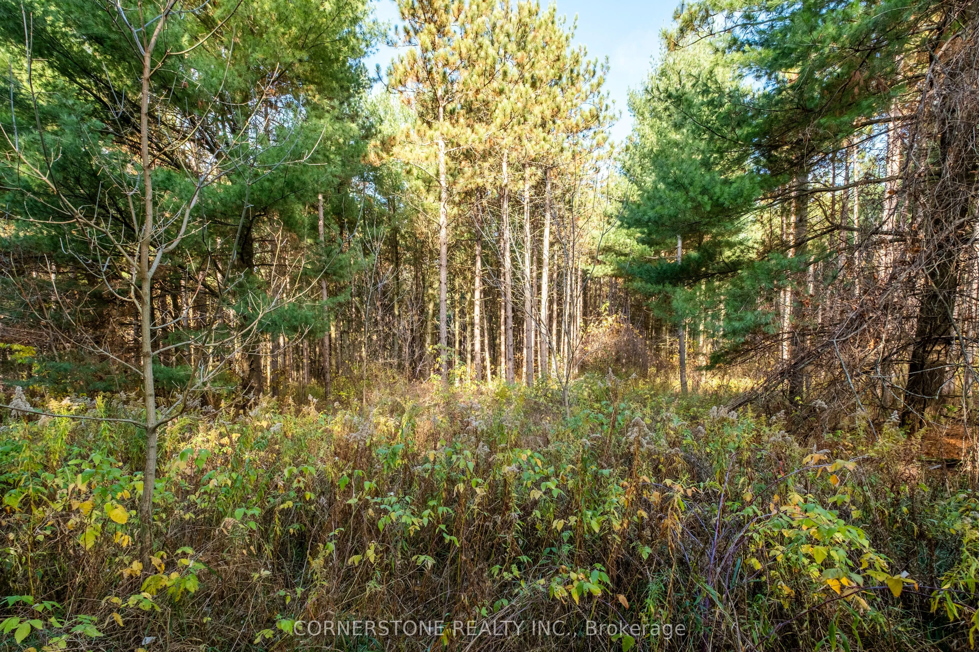 1438 2nd Concession